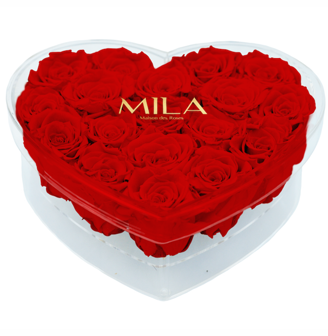 Mila Acrylic Large Heart