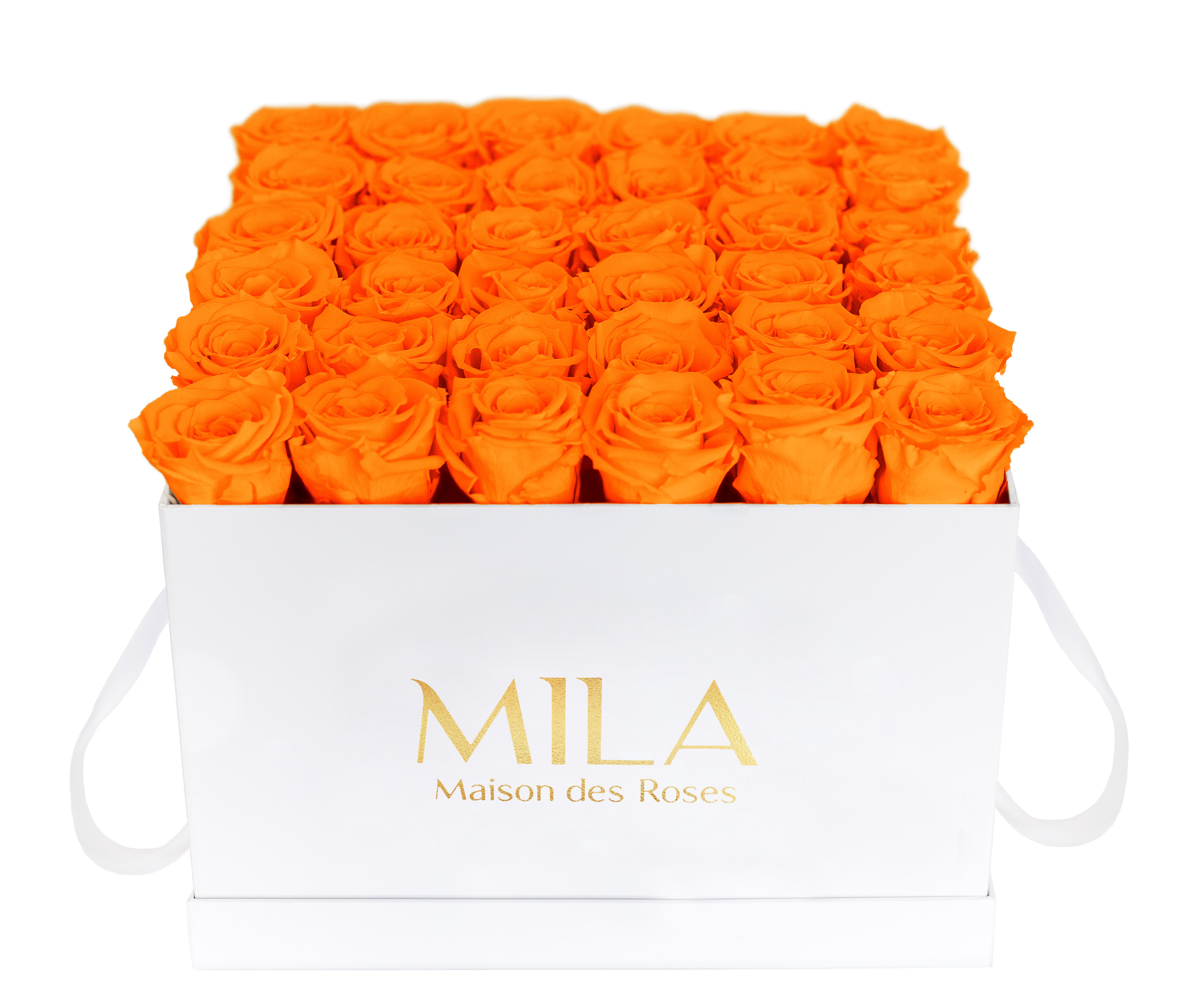 Mila Classique Luxe