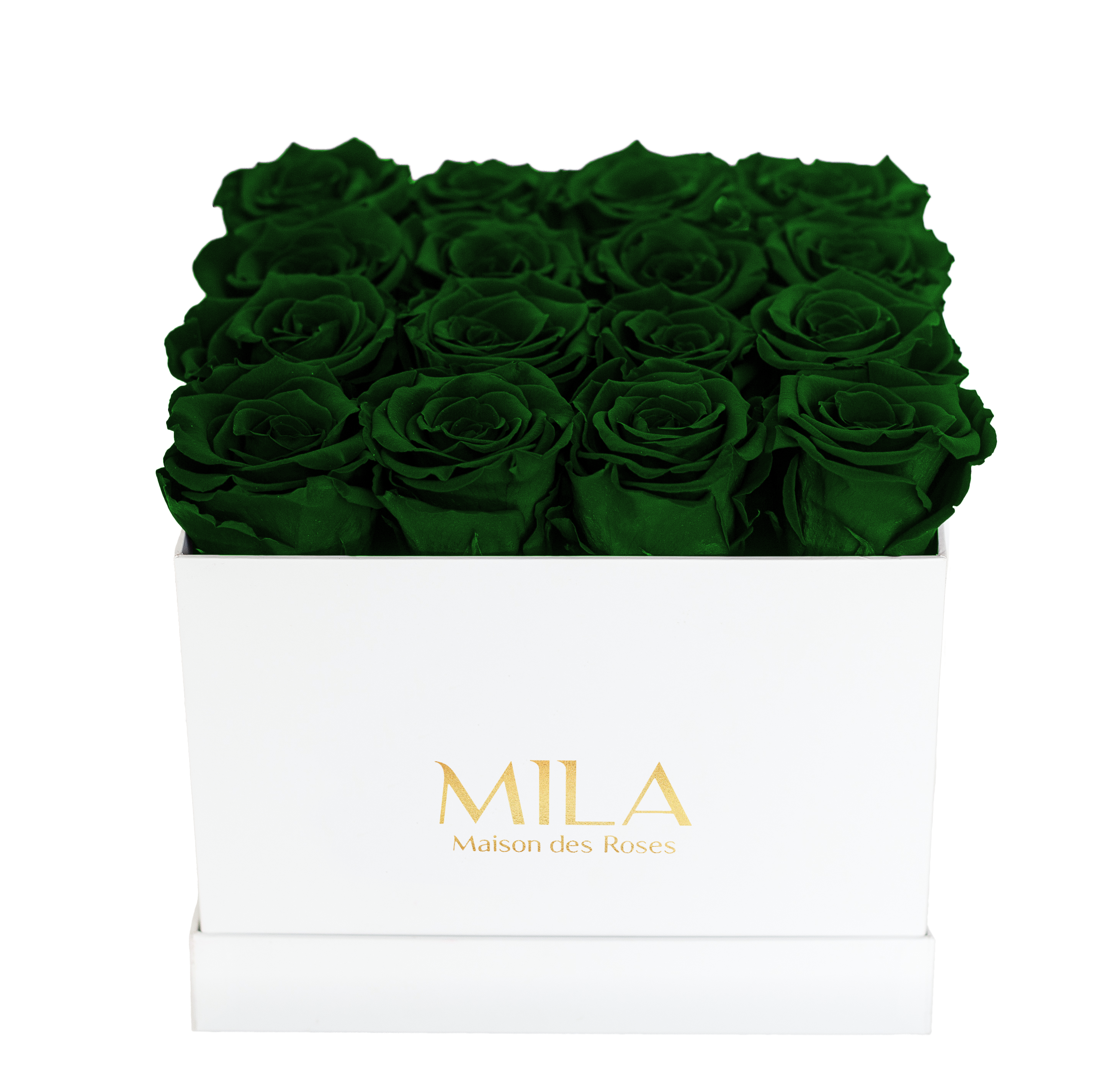 Mila Classique Medium