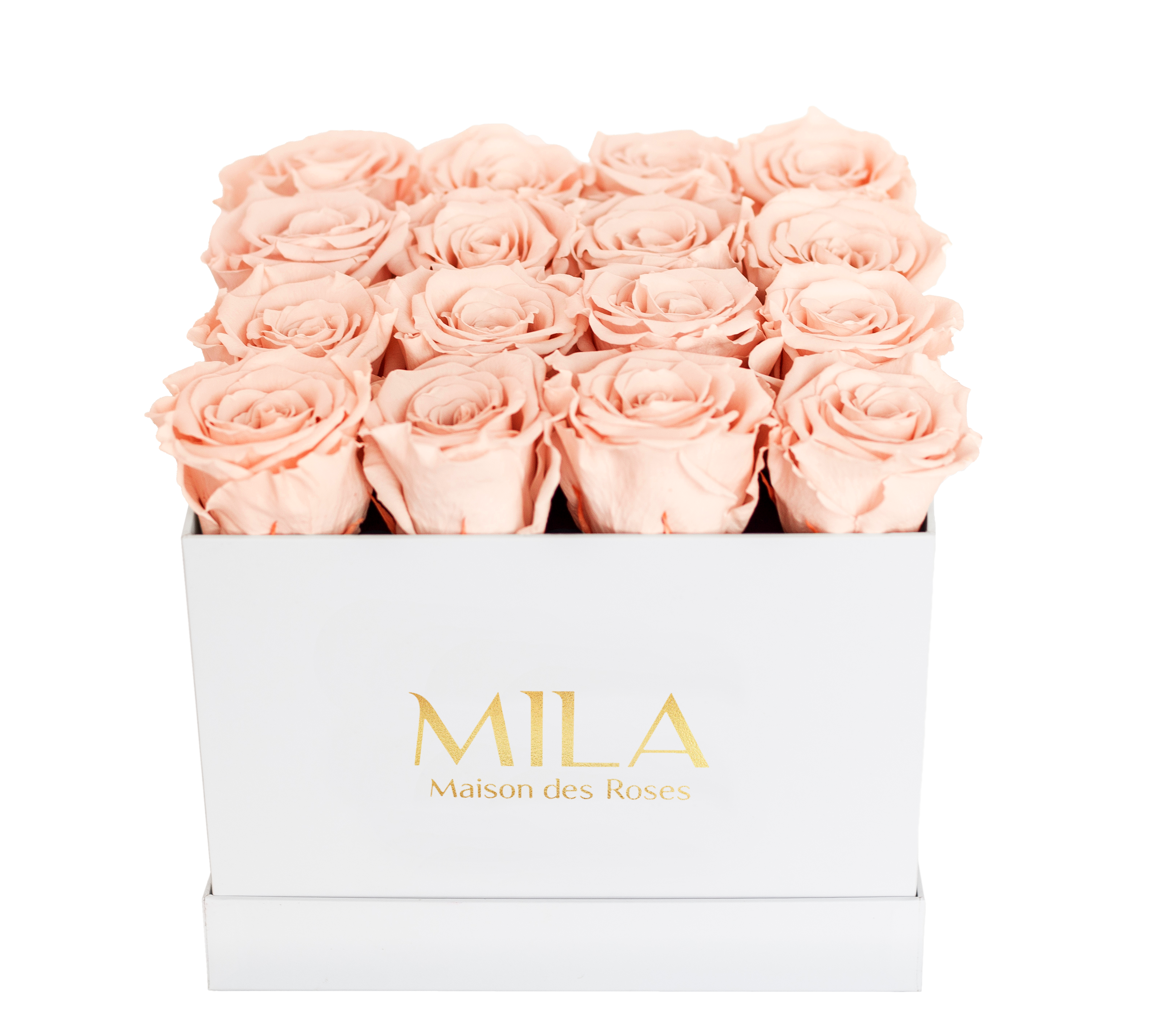 Mila Classique Medium