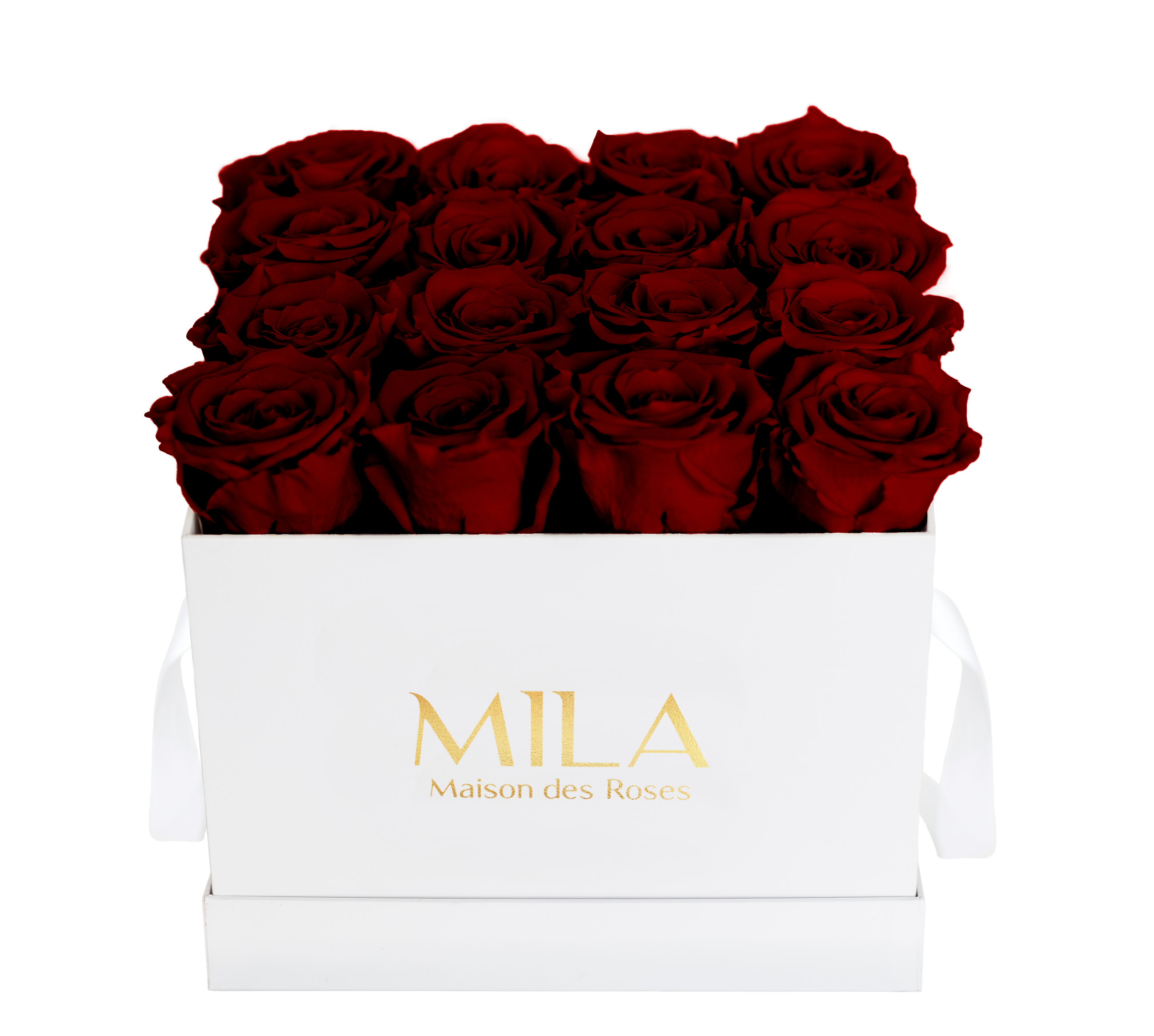 Mila Classique Medium