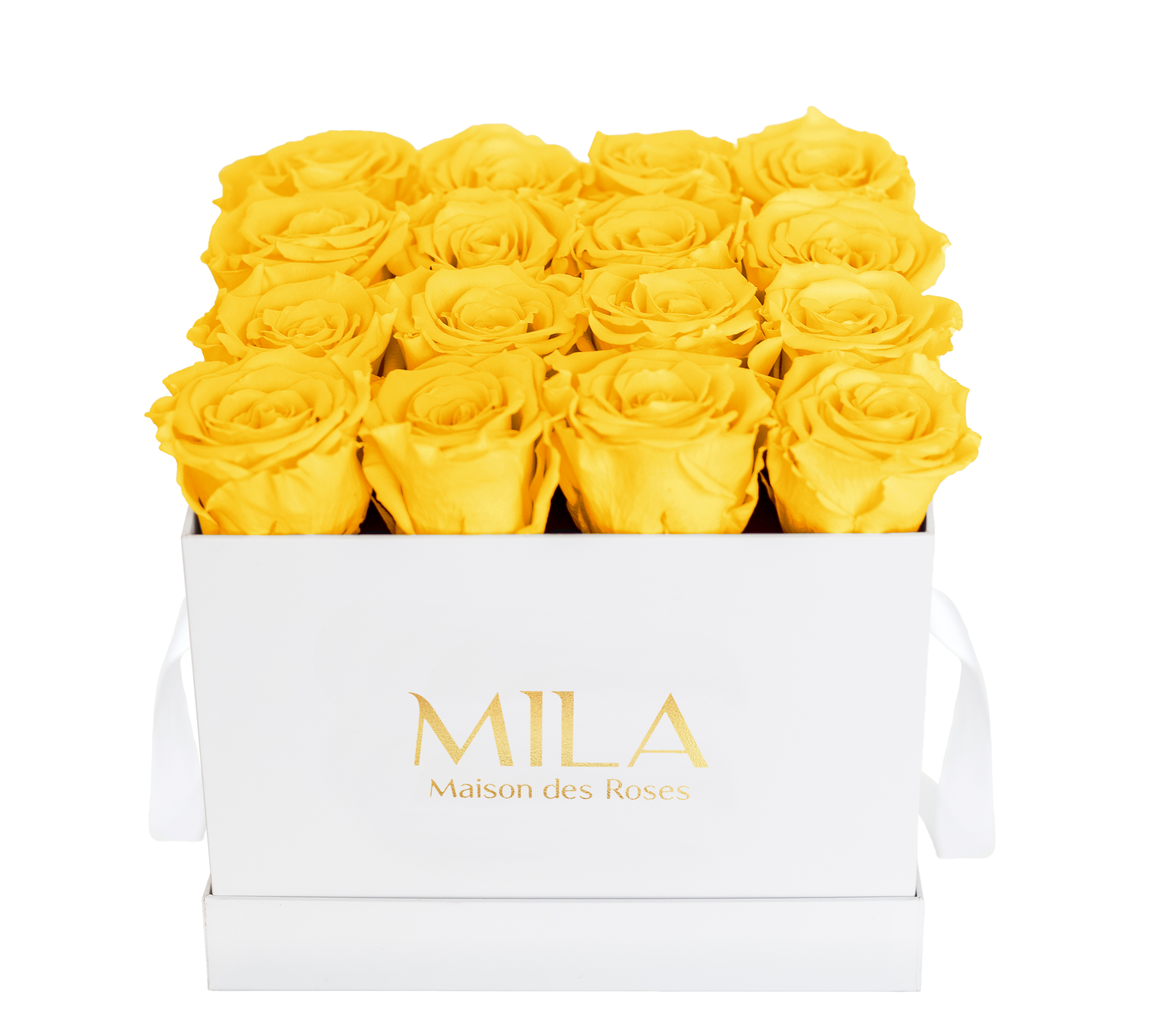 Mila Classique Medium