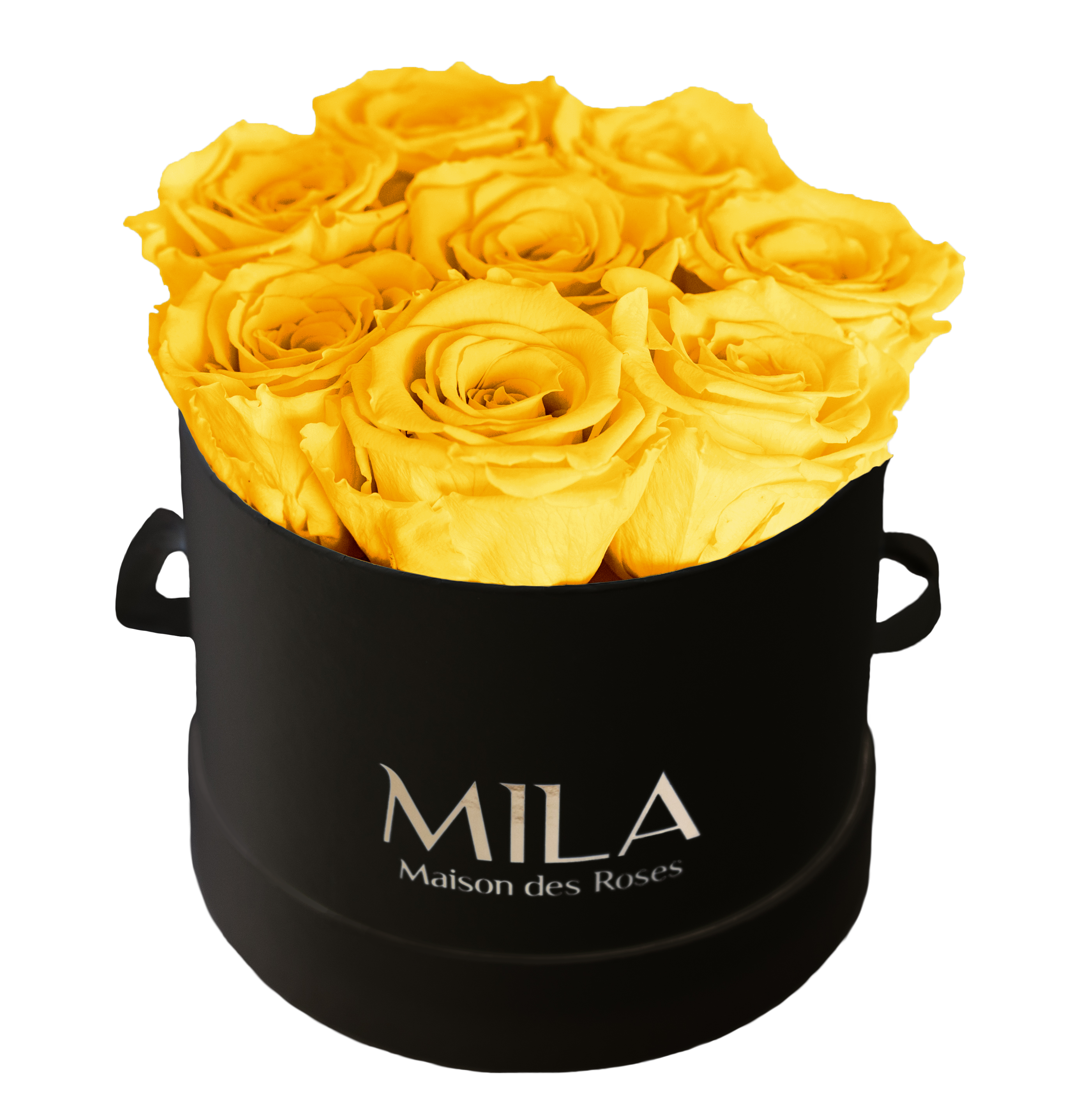 Mila Classique Small