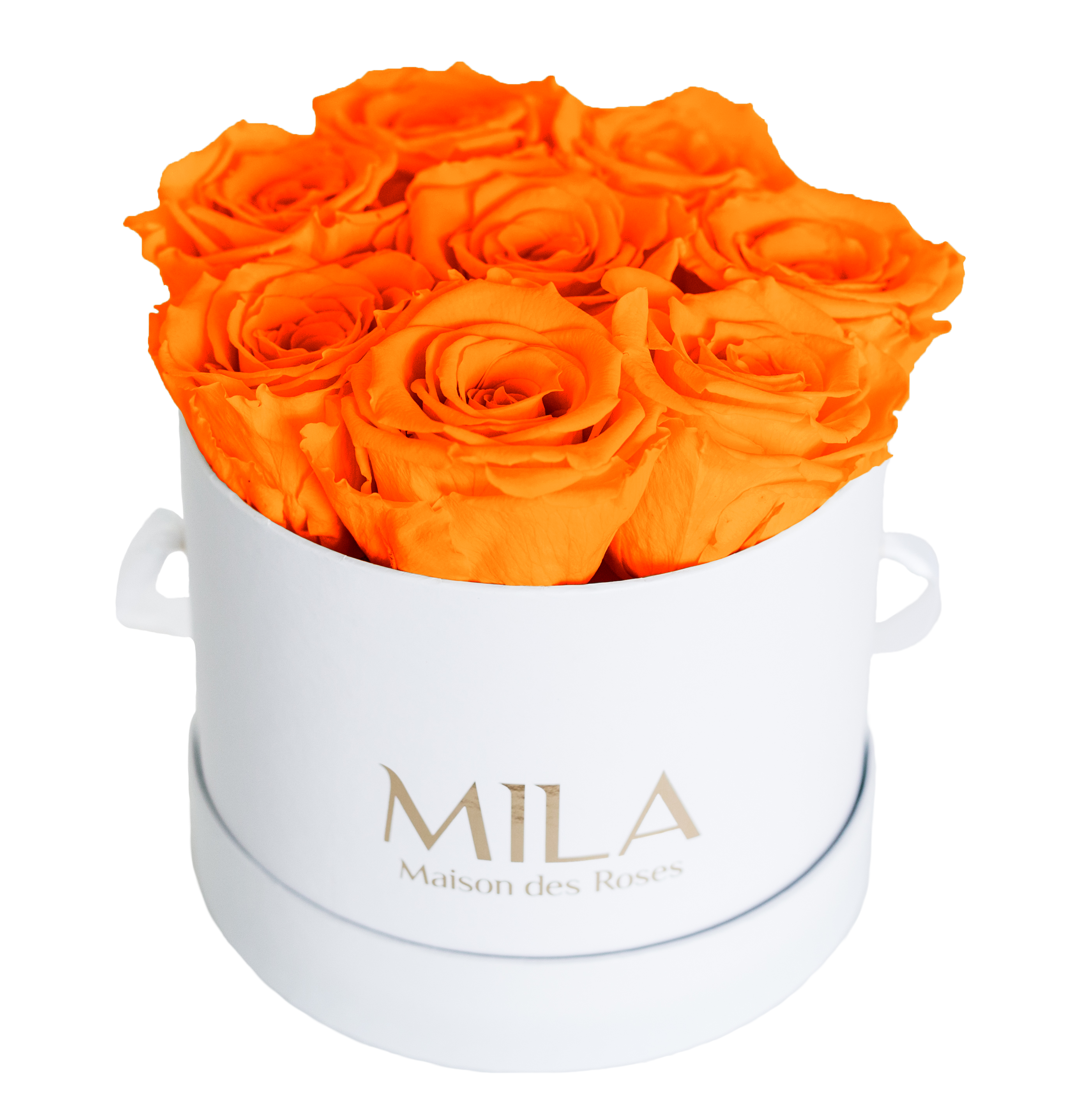 Mila Classique Small