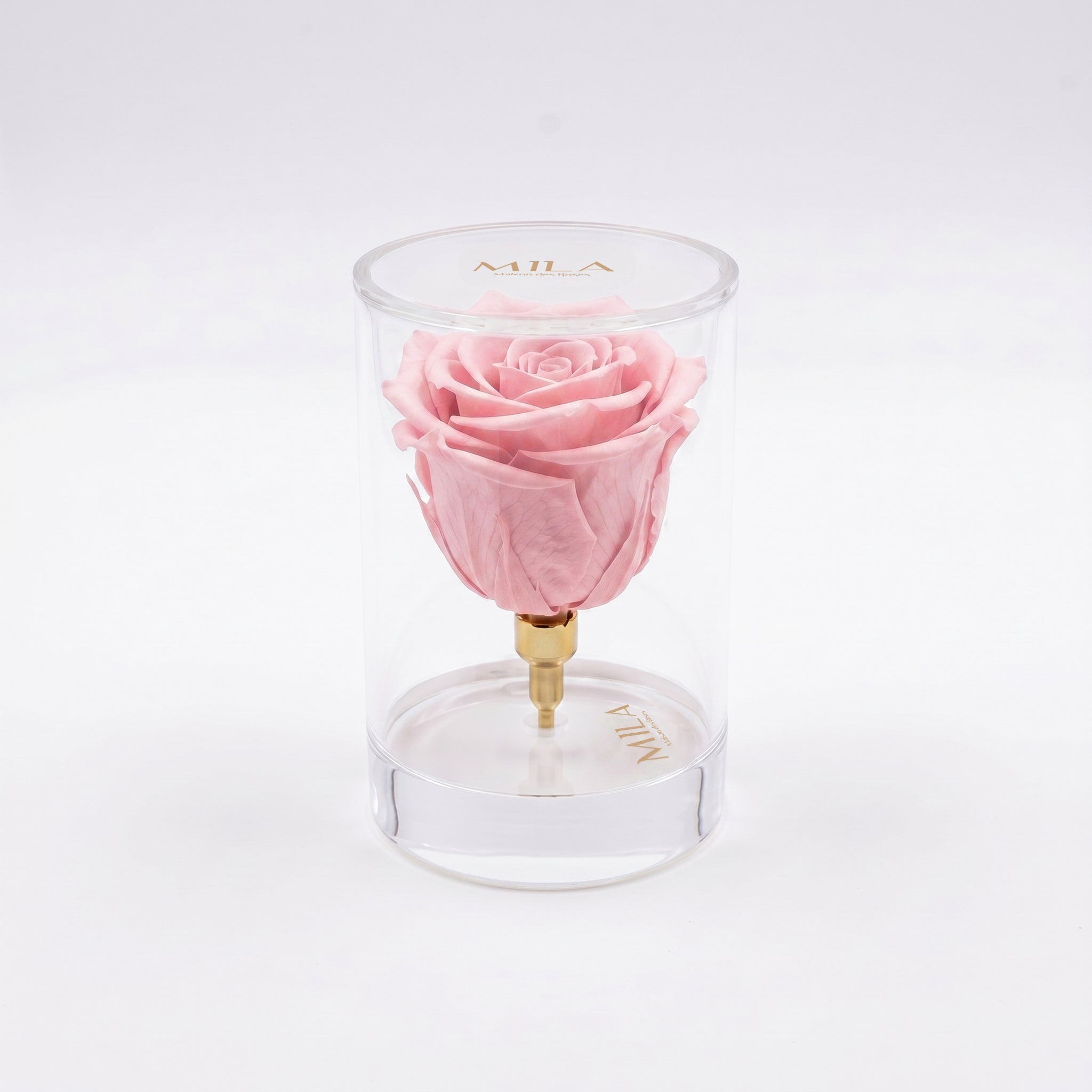 La Solitaire - MILA Maison Des Roses
