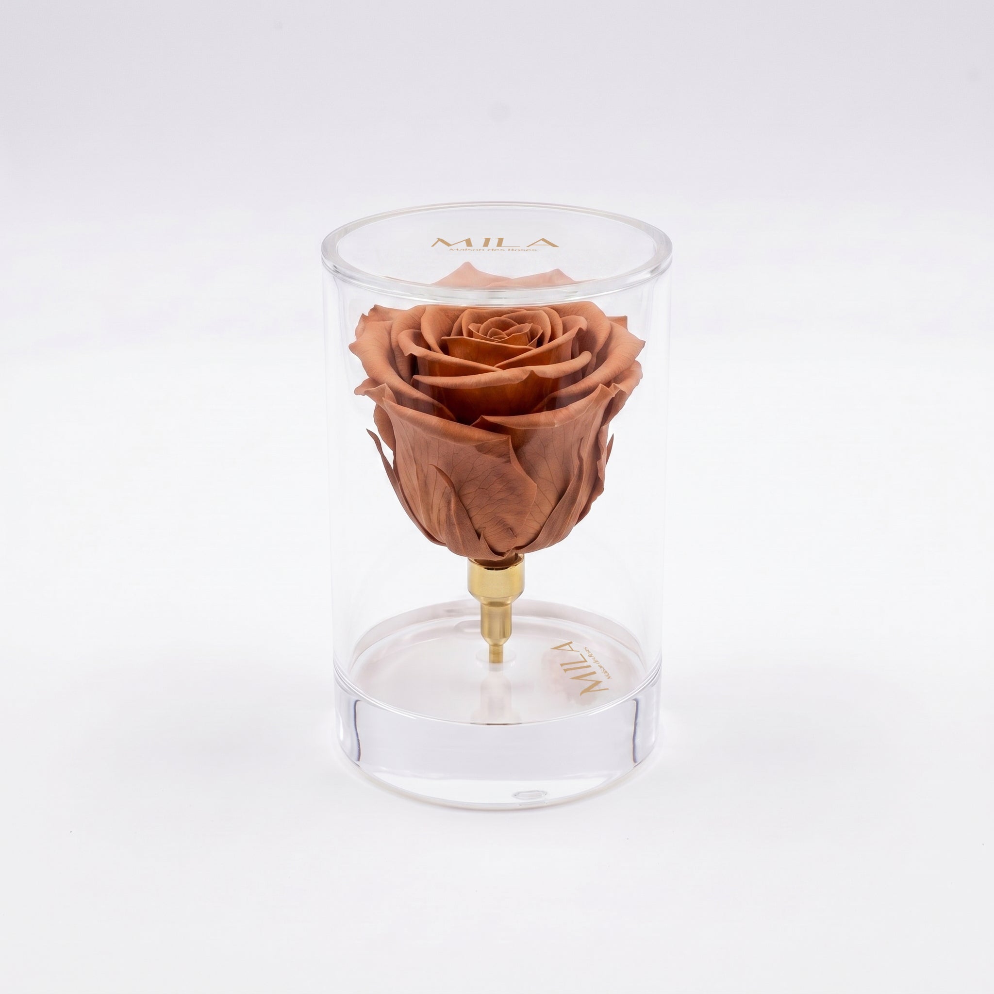 La Solitaire - MILA Maison Des Roses