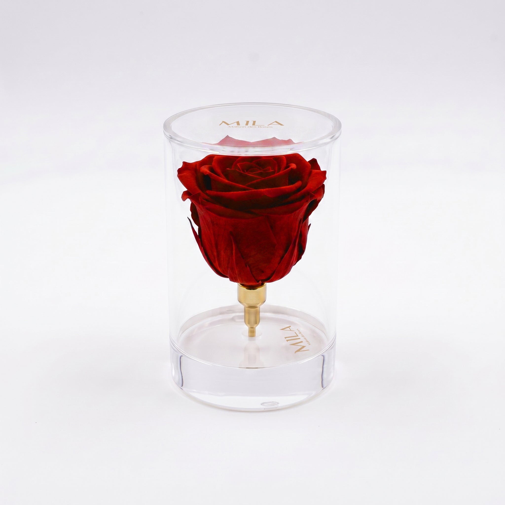 La Solitaire - MILA Maison Des Roses