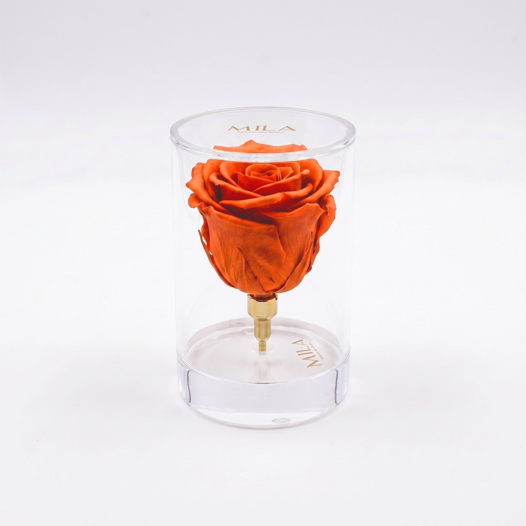 La Solitaire - MILA Maison Des Roses