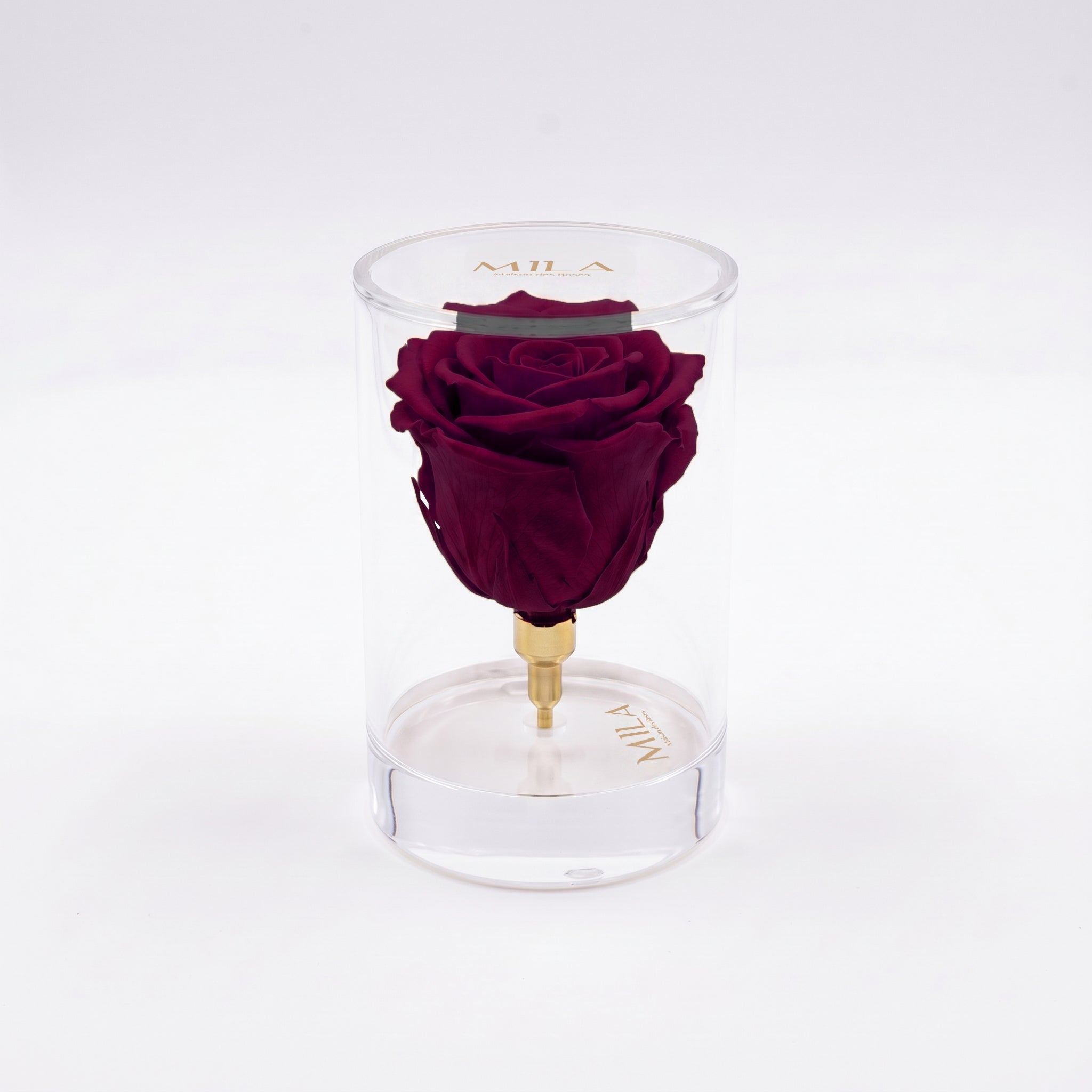 La Solitaire - MILA Maison Des Roses