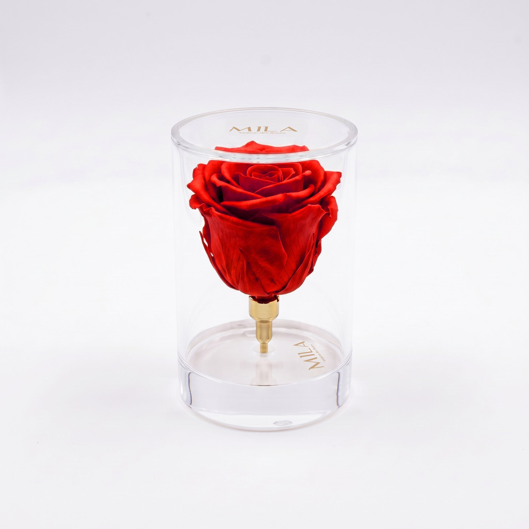 La Solitaire - MILA Maison Des Roses
