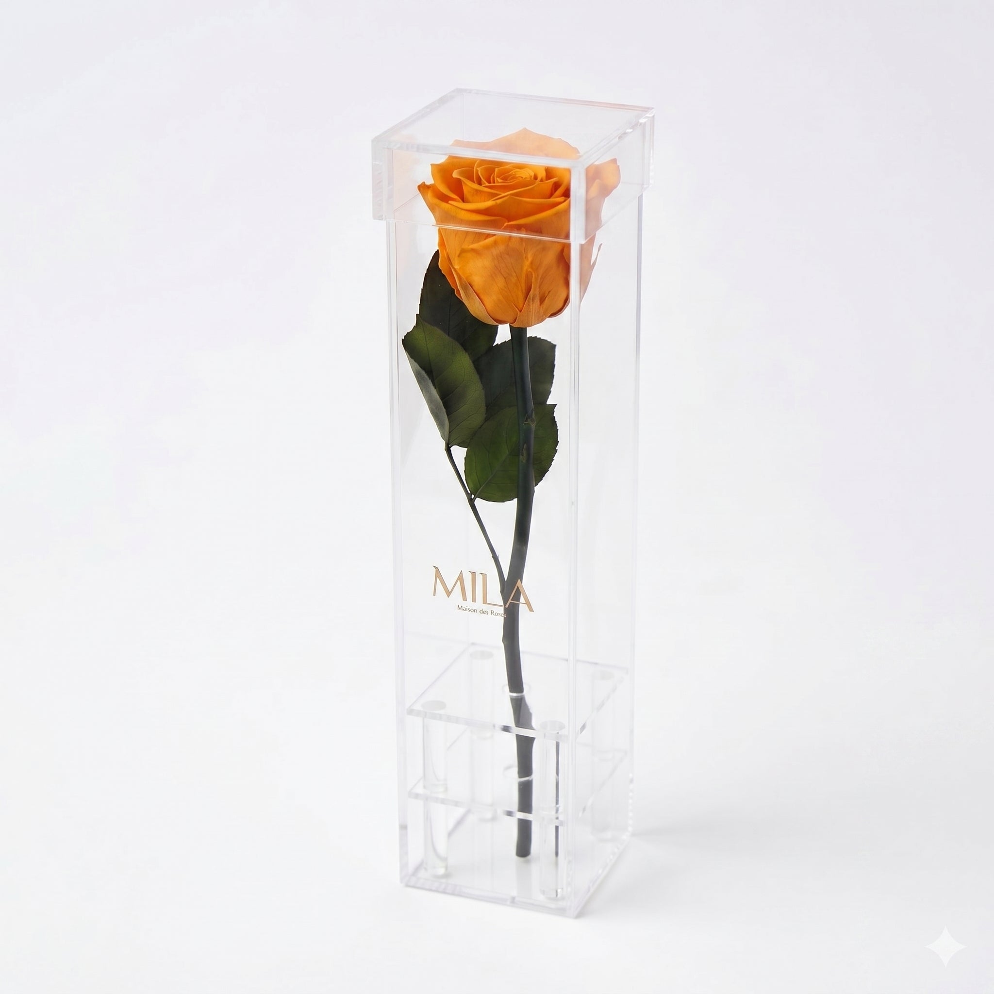 Le Monolithe - MILA Maison Des Roses
