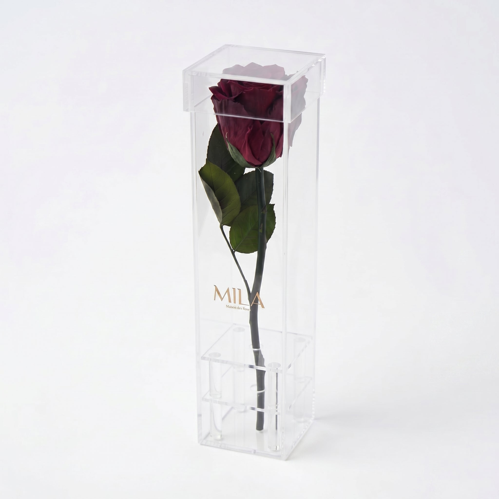 Le Monolithe - MILA Maison Des Roses