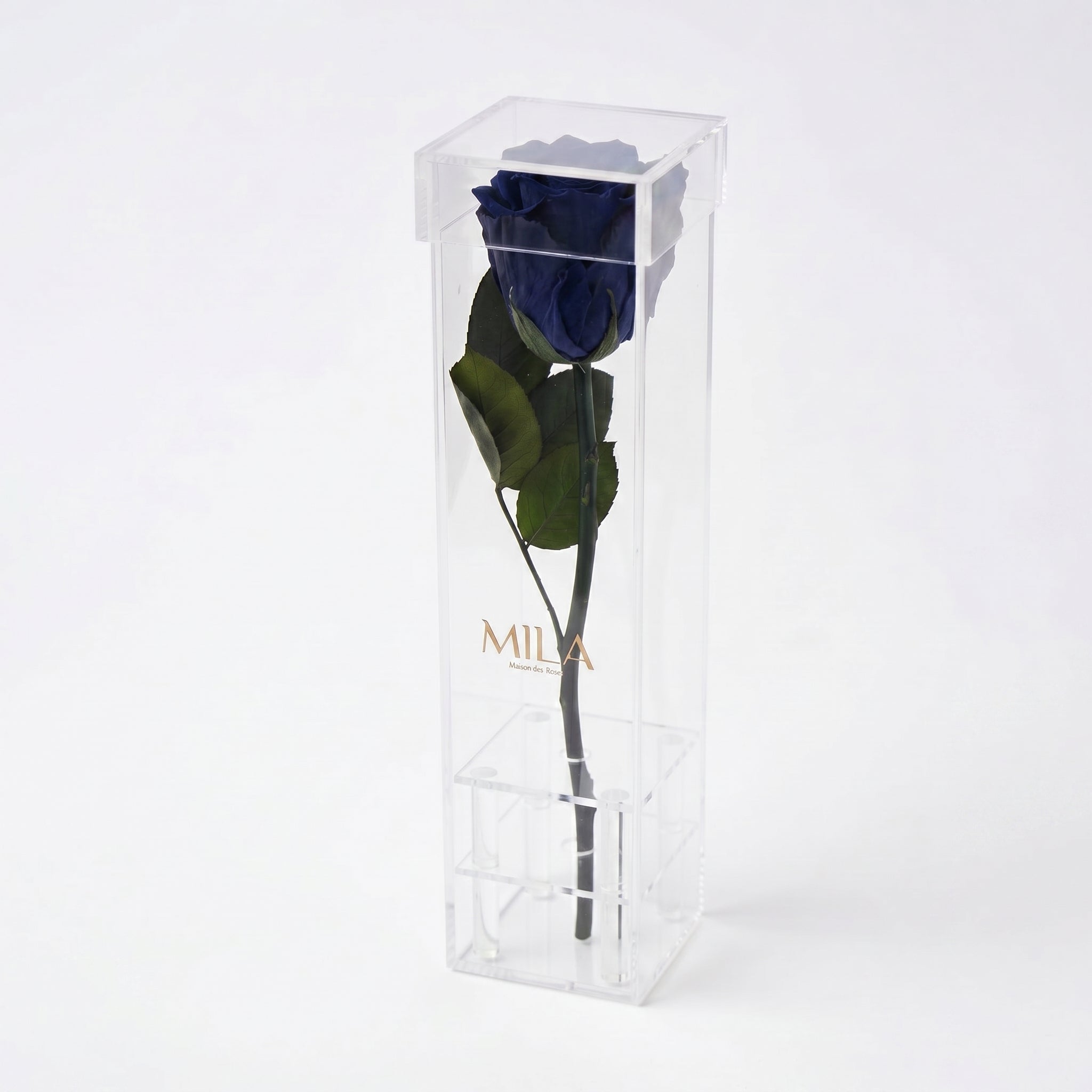 Le Monolithe - MILA Maison Des Roses