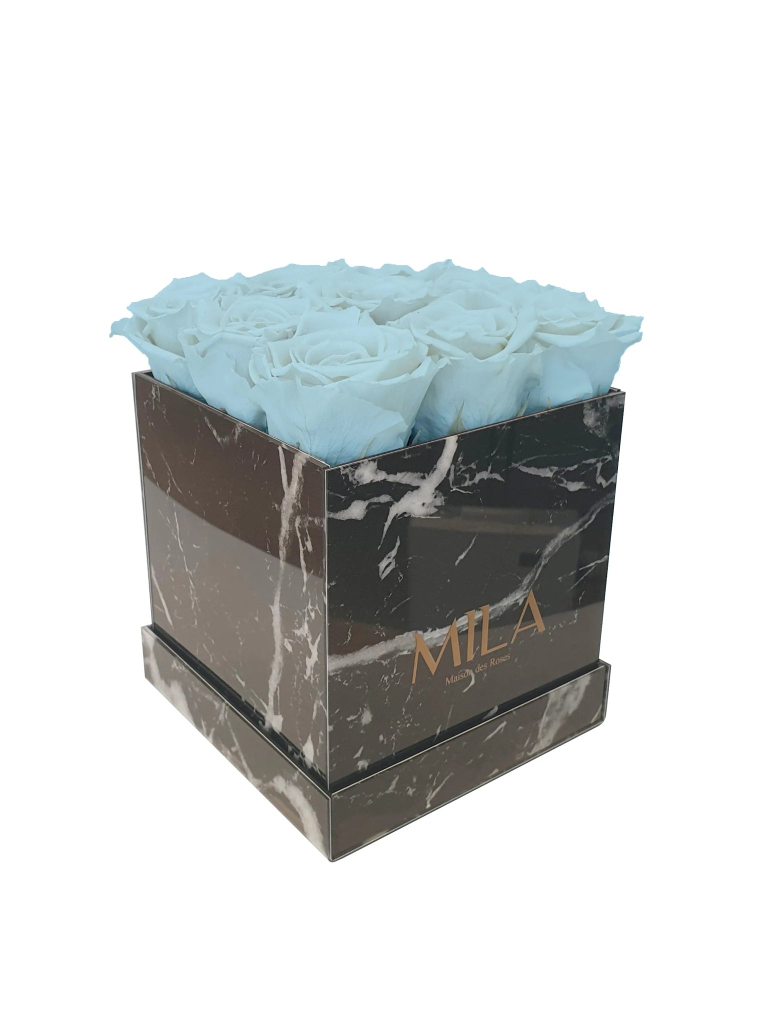 Mila Acrylic Black Marble - Mila Rose
