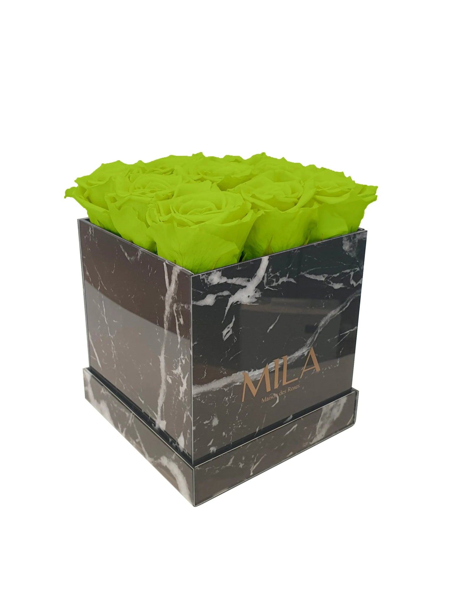 Mila Acrylic Black Marble - Mila Rose