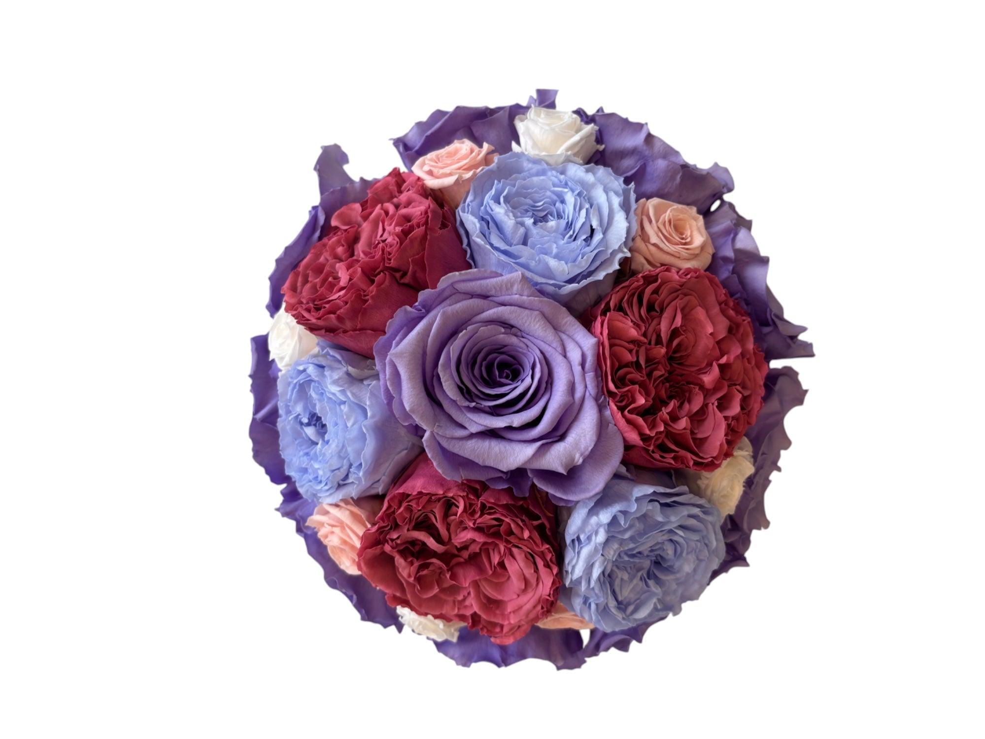 Mila Acrylic Dome - My Store