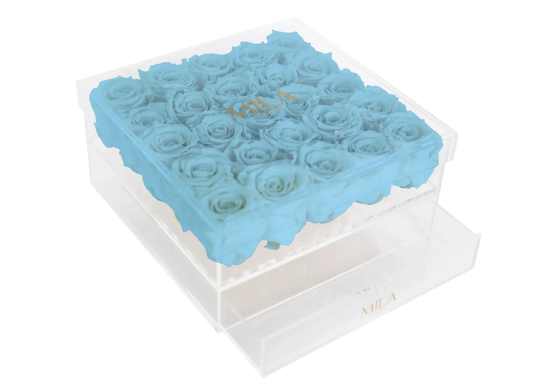 Mila Acrylic Large Bijou - Mila Rose