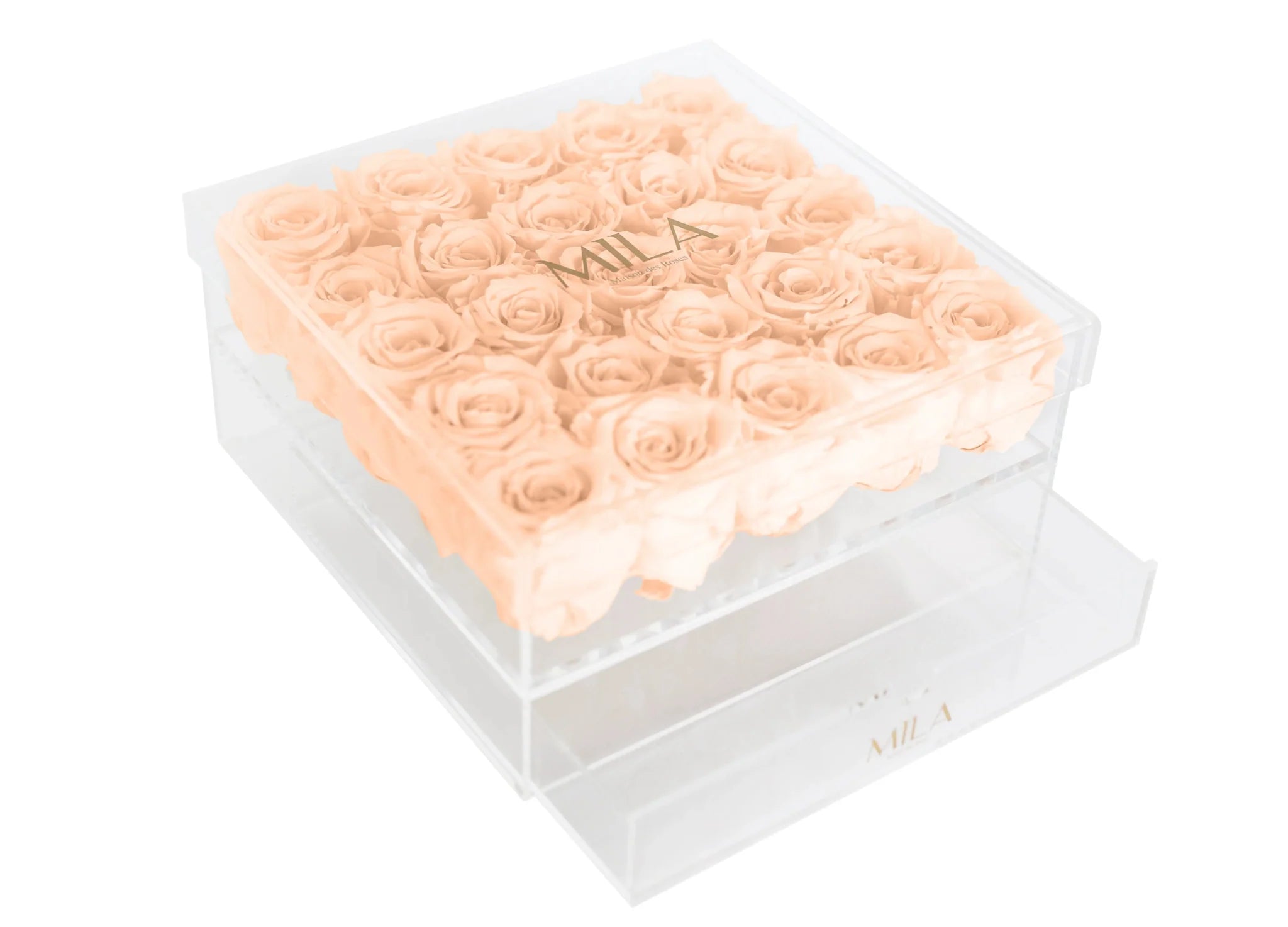 Mila Acrylic Large Bijou - Mila Rose