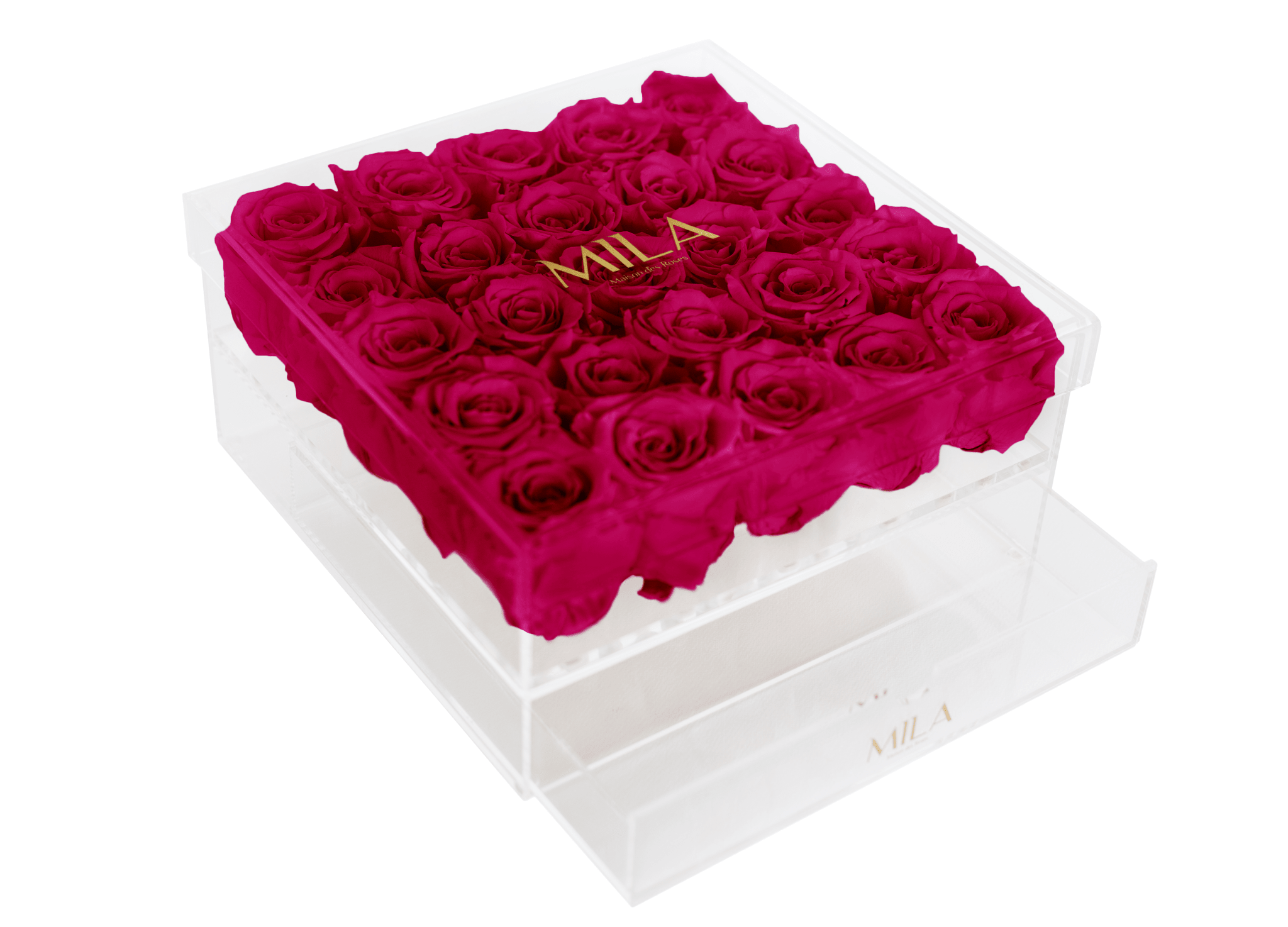 Mila Acrylic Large Bijou - Mila Rose