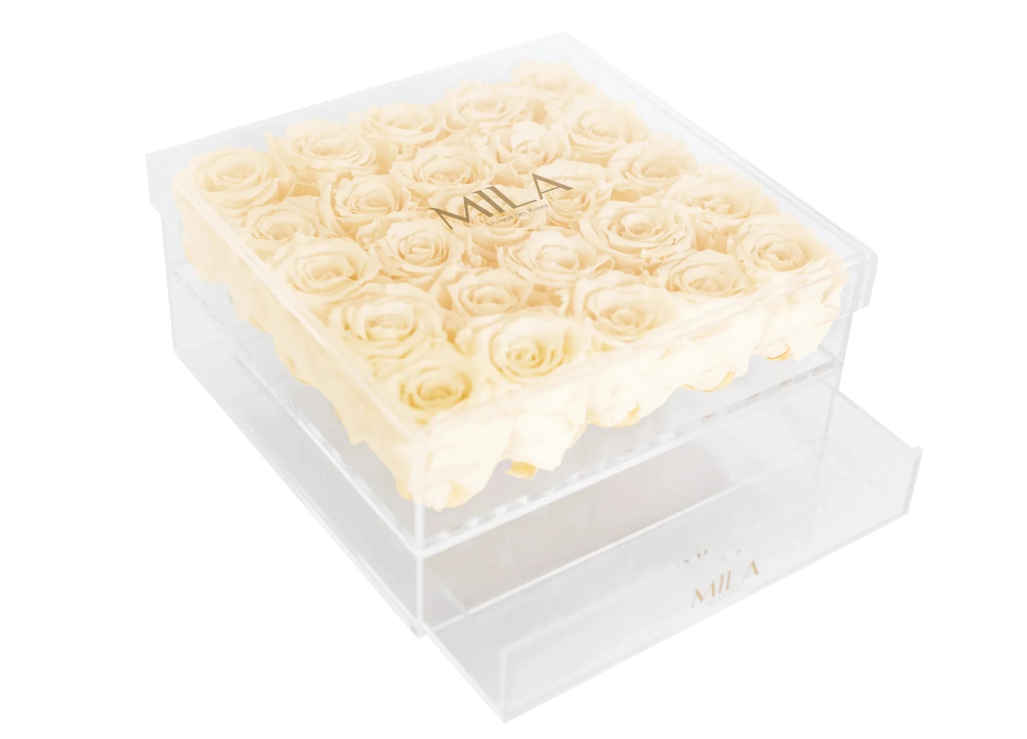 Mila Acrylic Large Bijou - Mila Rose