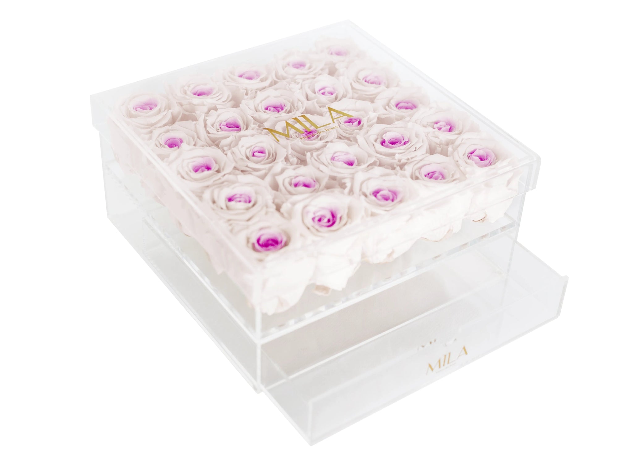 Mila Acrylic Large Bijou - Mila Rose
