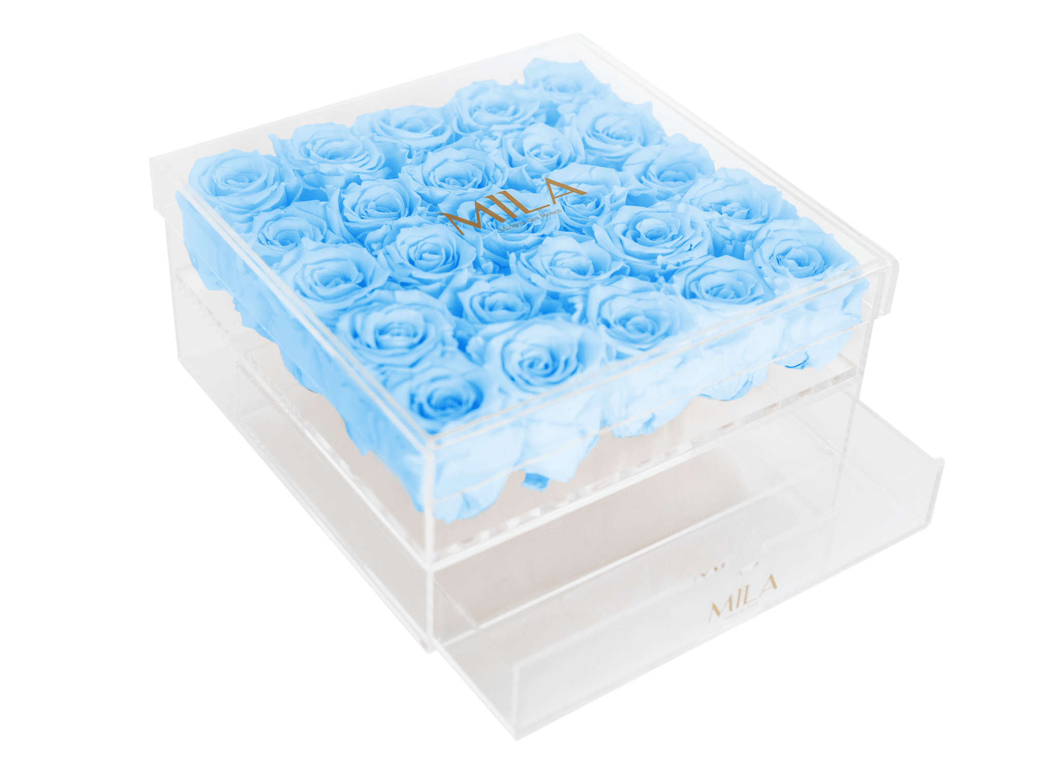 Mila Acrylic Large Bijou - Mila Rose