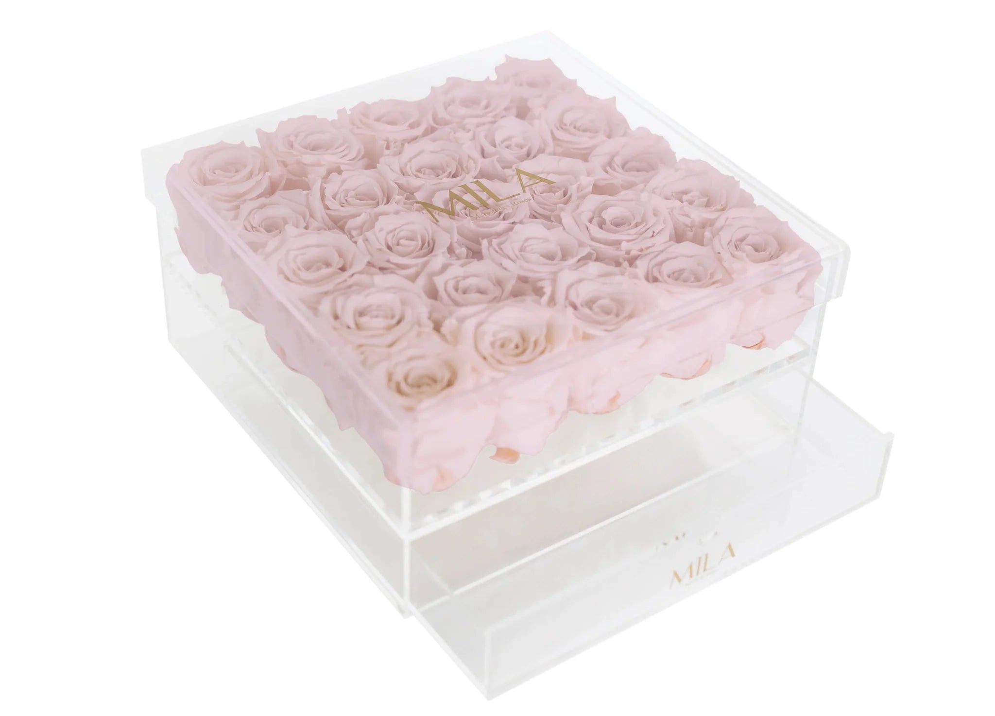 Mila Acrylic Large Bijou - Mila Rose