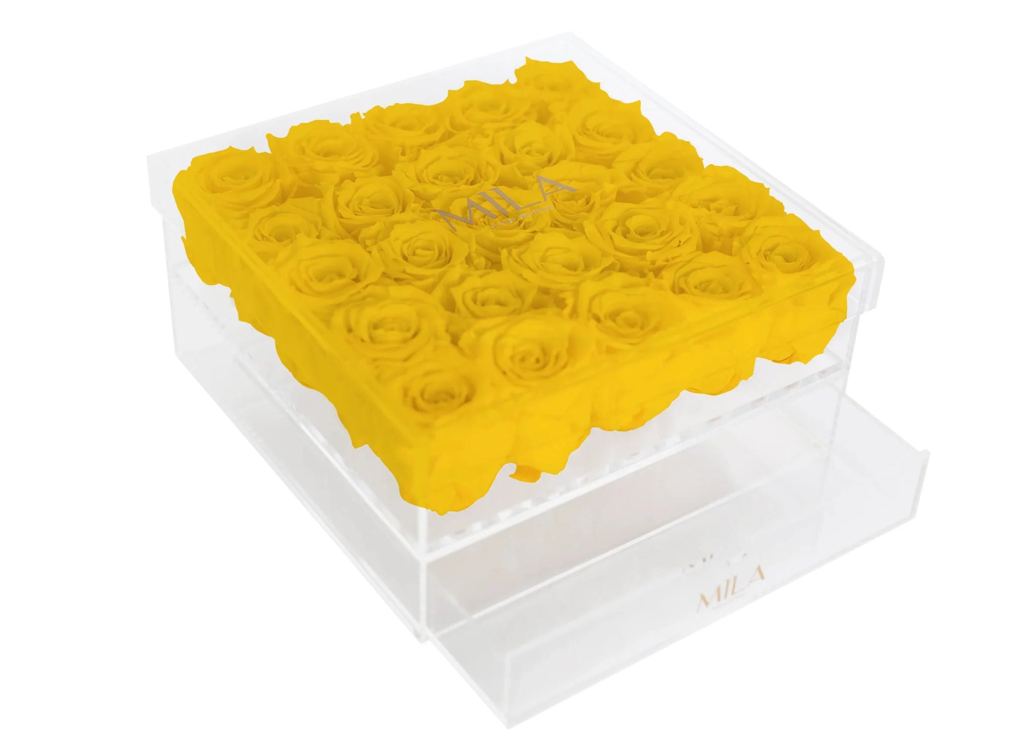 Mila Acrylic Large Bijou - Mila Rose