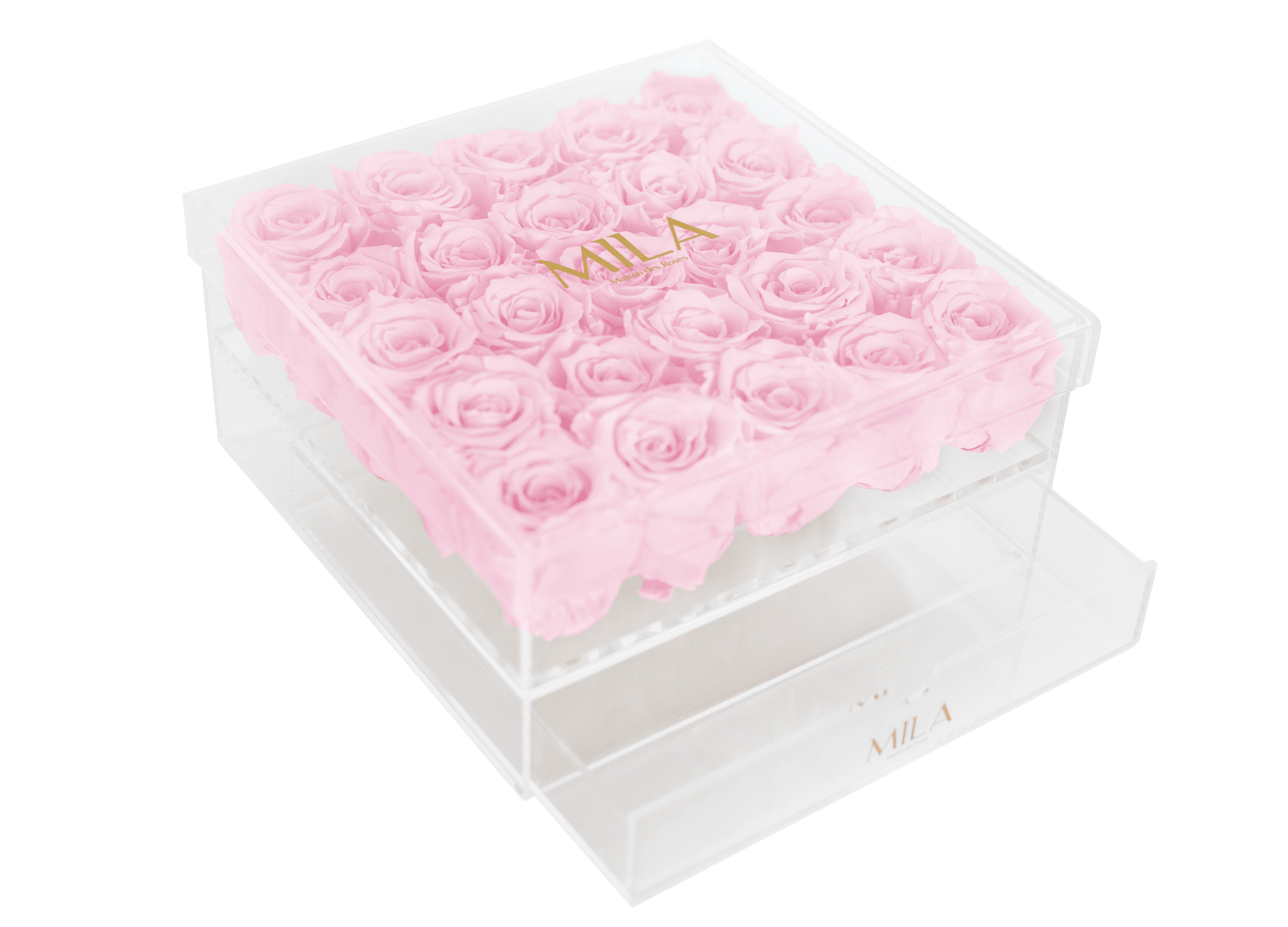 Mila Acrylic Large Bijou - Mila Rose