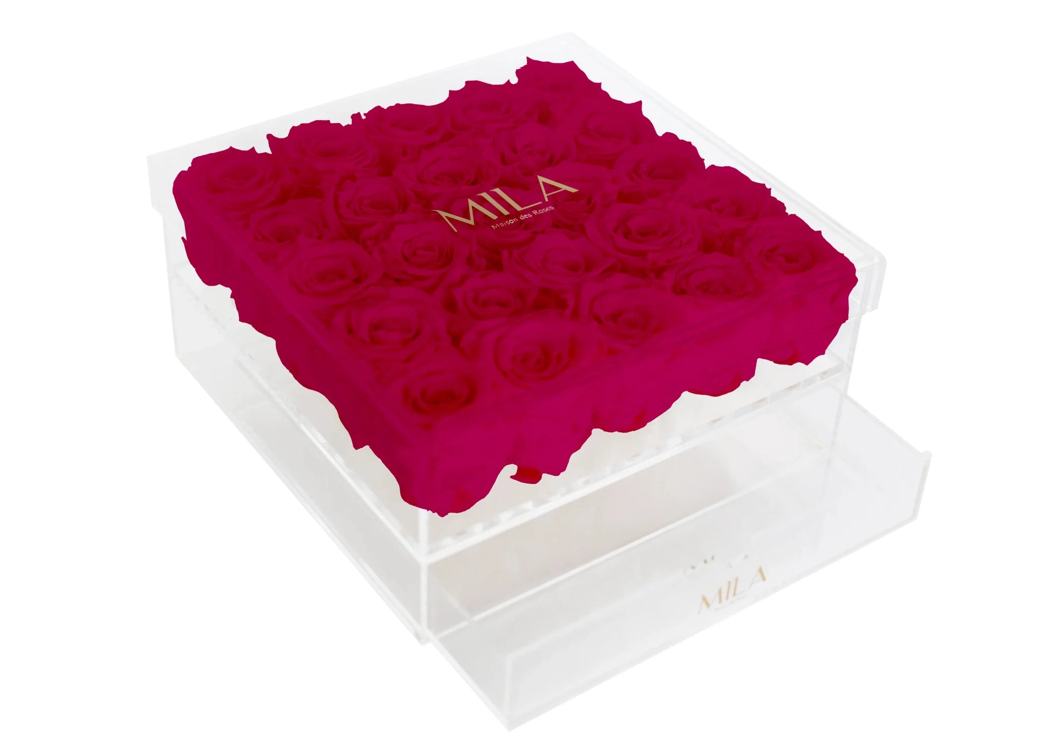 Mila Acrylic Large Bijou - Mila Rose