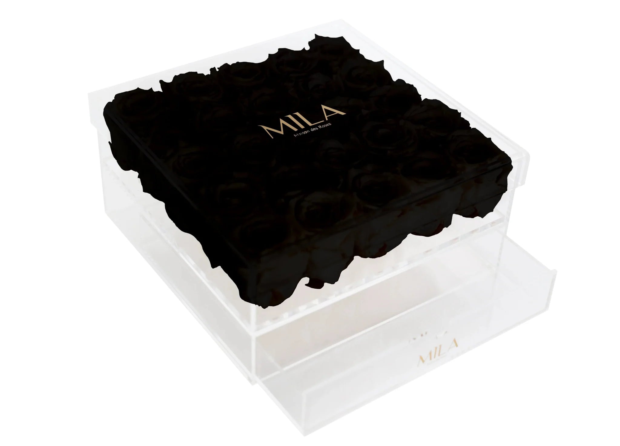 Mila Acrylic Large Bijou - Mila Rose