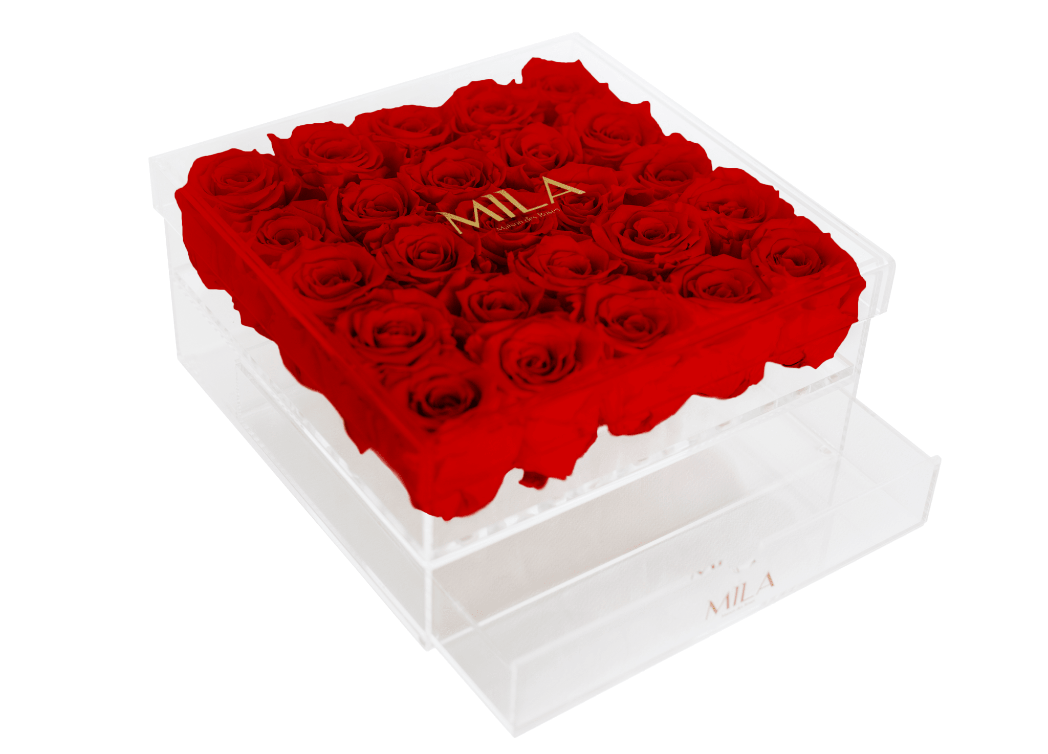 Mila Acrylic Large Bijou - Mila Rose