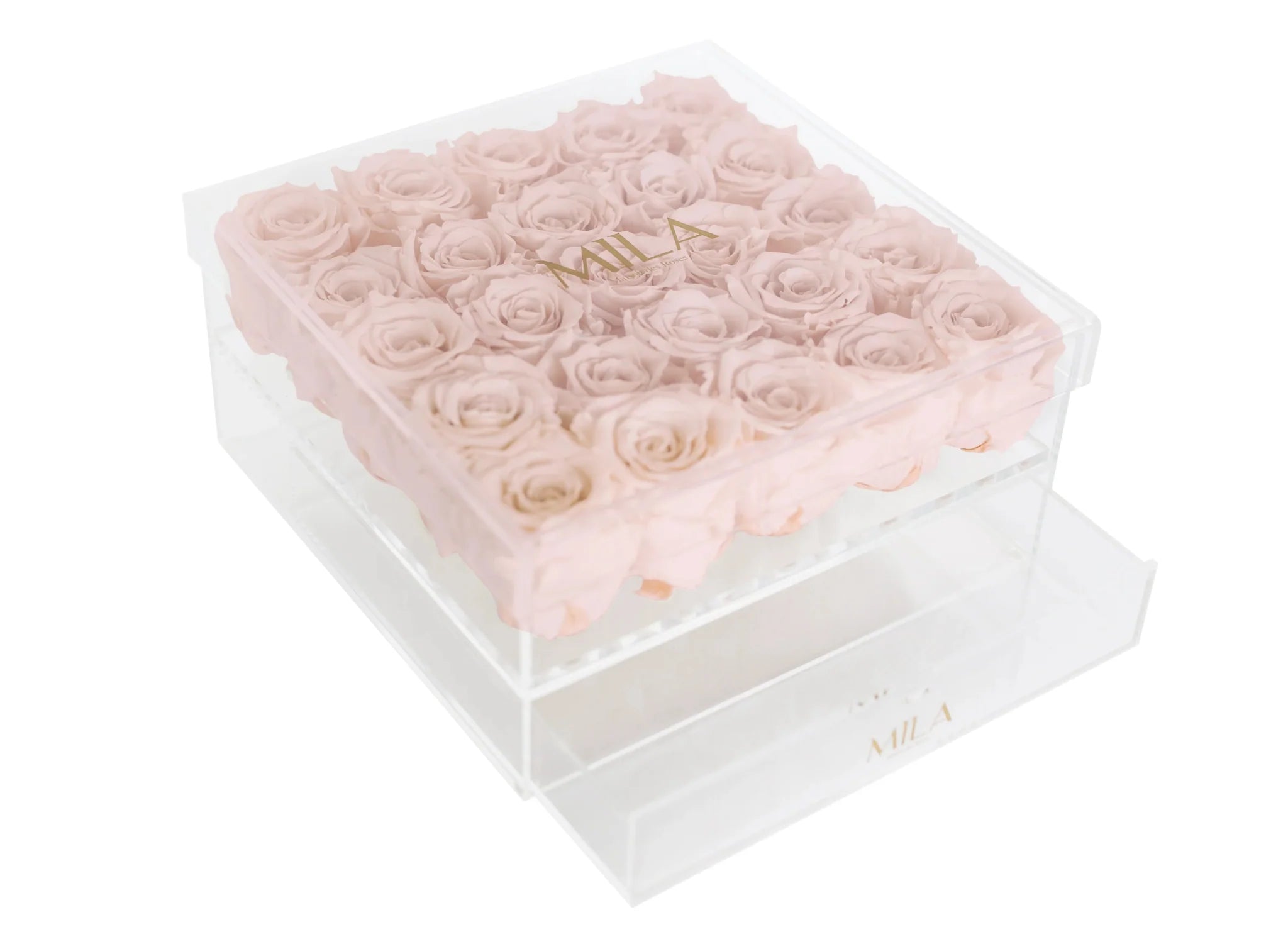 Mila Acrylic Large Bijou - Mila Rose