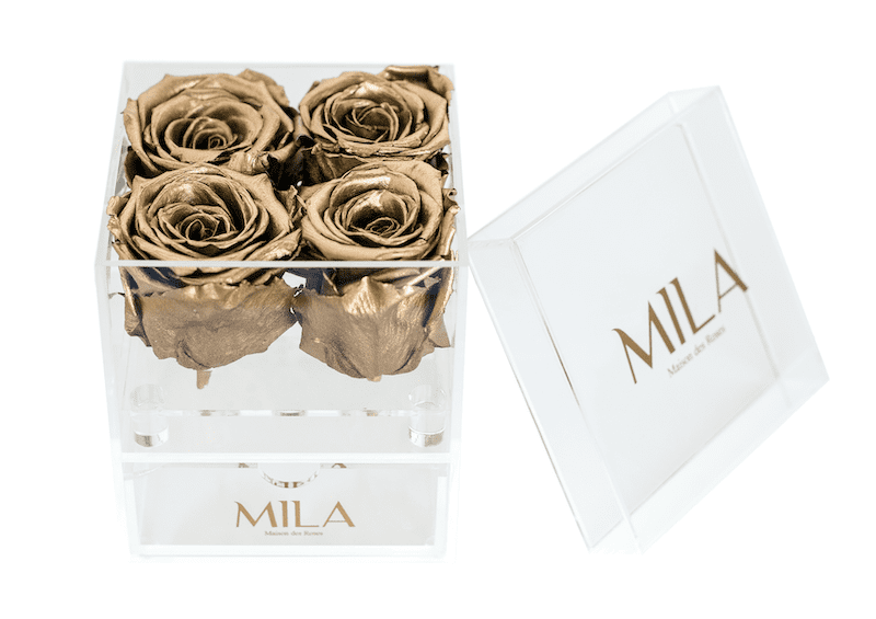 Mila Acrylic Mini Bijou - Mila Rose