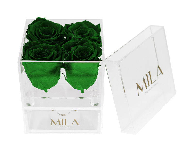 Mila Acrylic Mini Bijou - Mila Rose