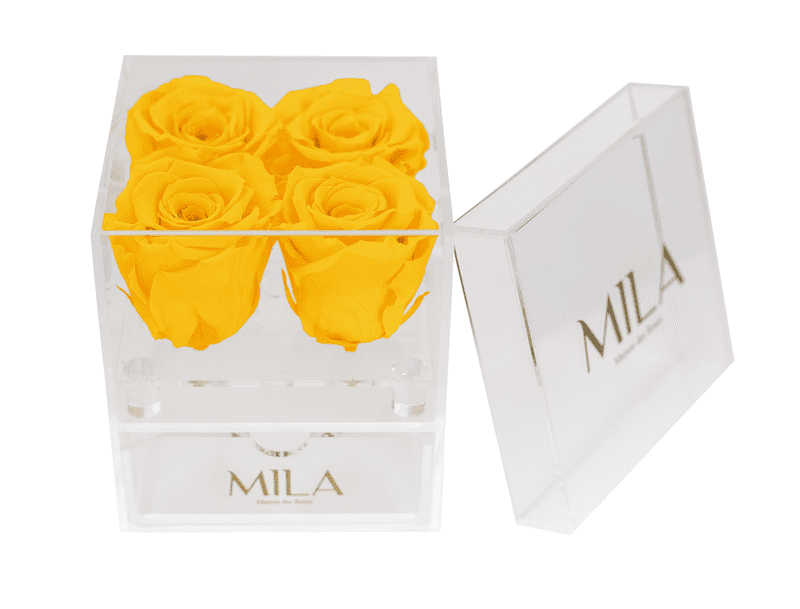 Mila Acrylic Mini Bijou - Mila Rose