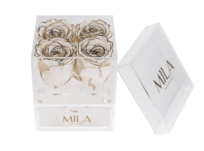 Mila Acrylic Mini Bijou - Mila Rose