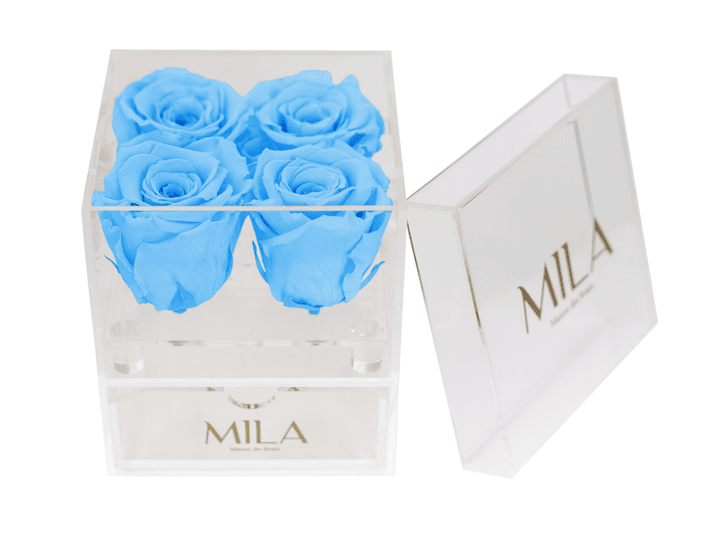 Mila Acrylic Mini Bijou - Mila Rose