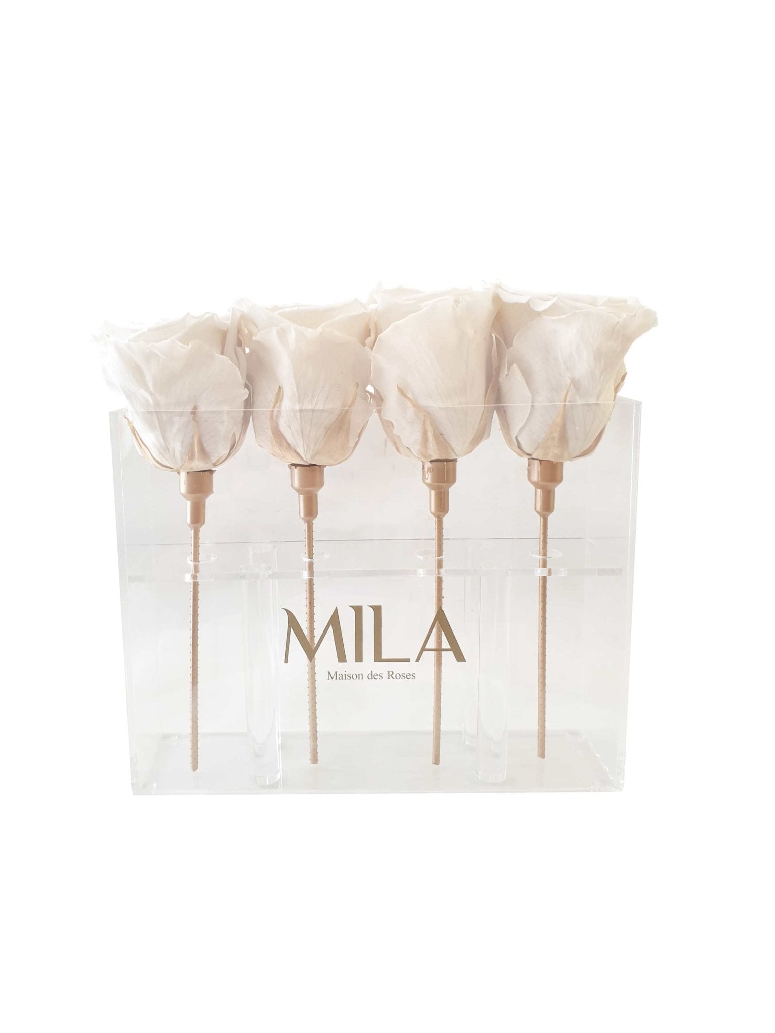 Mila Acrylic Mini Table - MILA Maison Des Roses