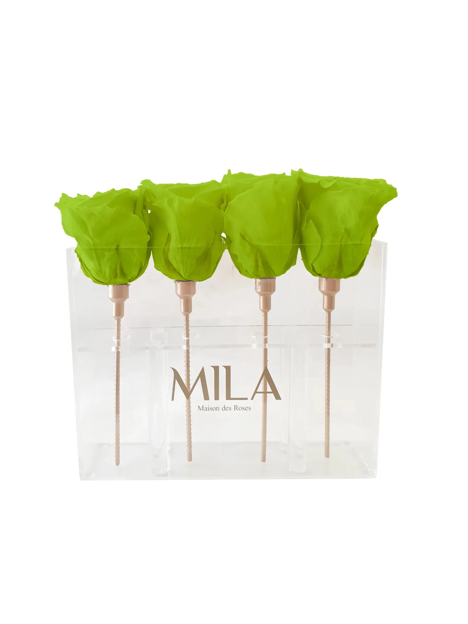 Mila Acrylic Mini Table - Mila Rose