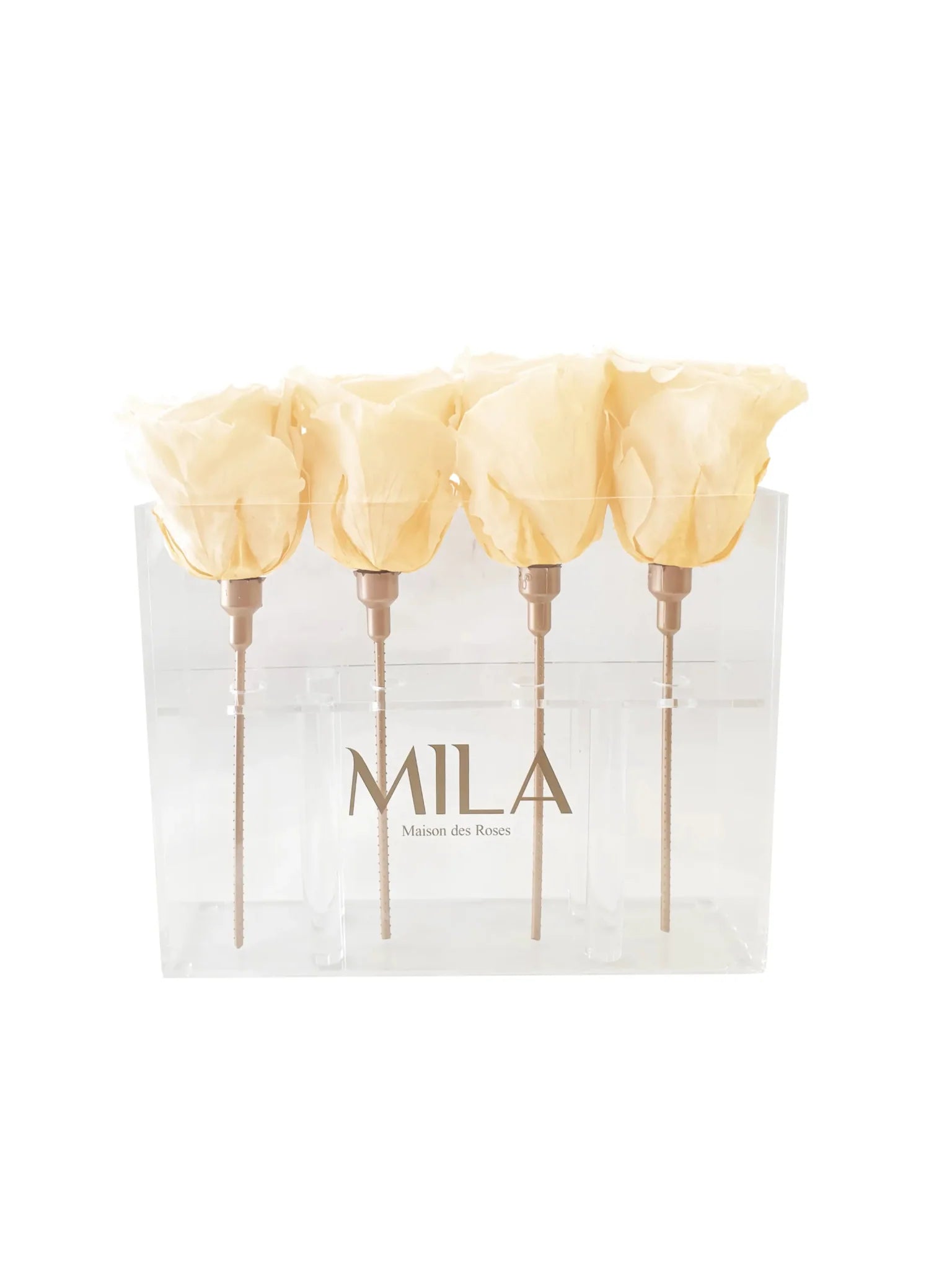 Mila Acrylic Mini Table - Mila Rose