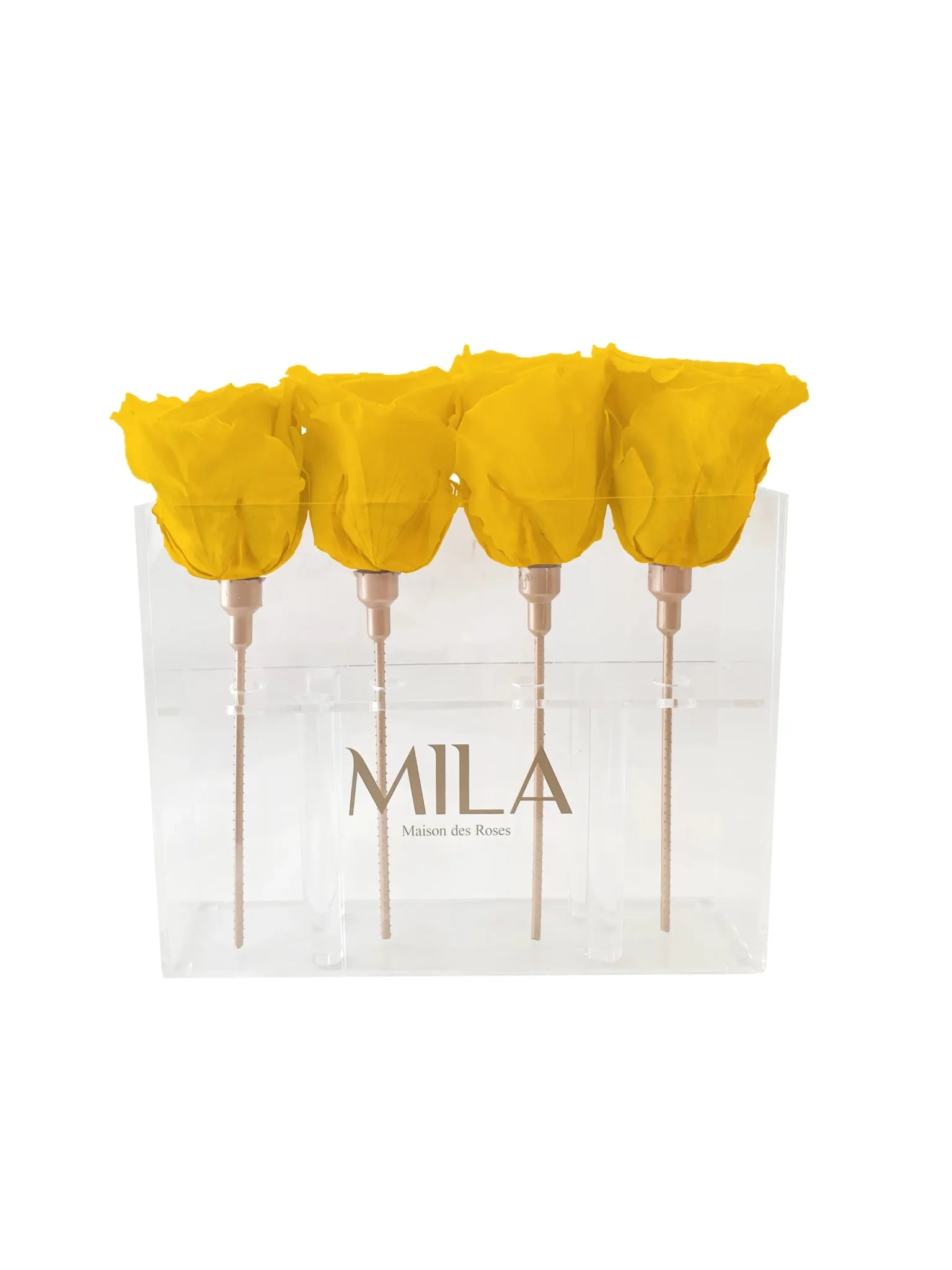 Mila Acrylic Mini Table - Mila Rose