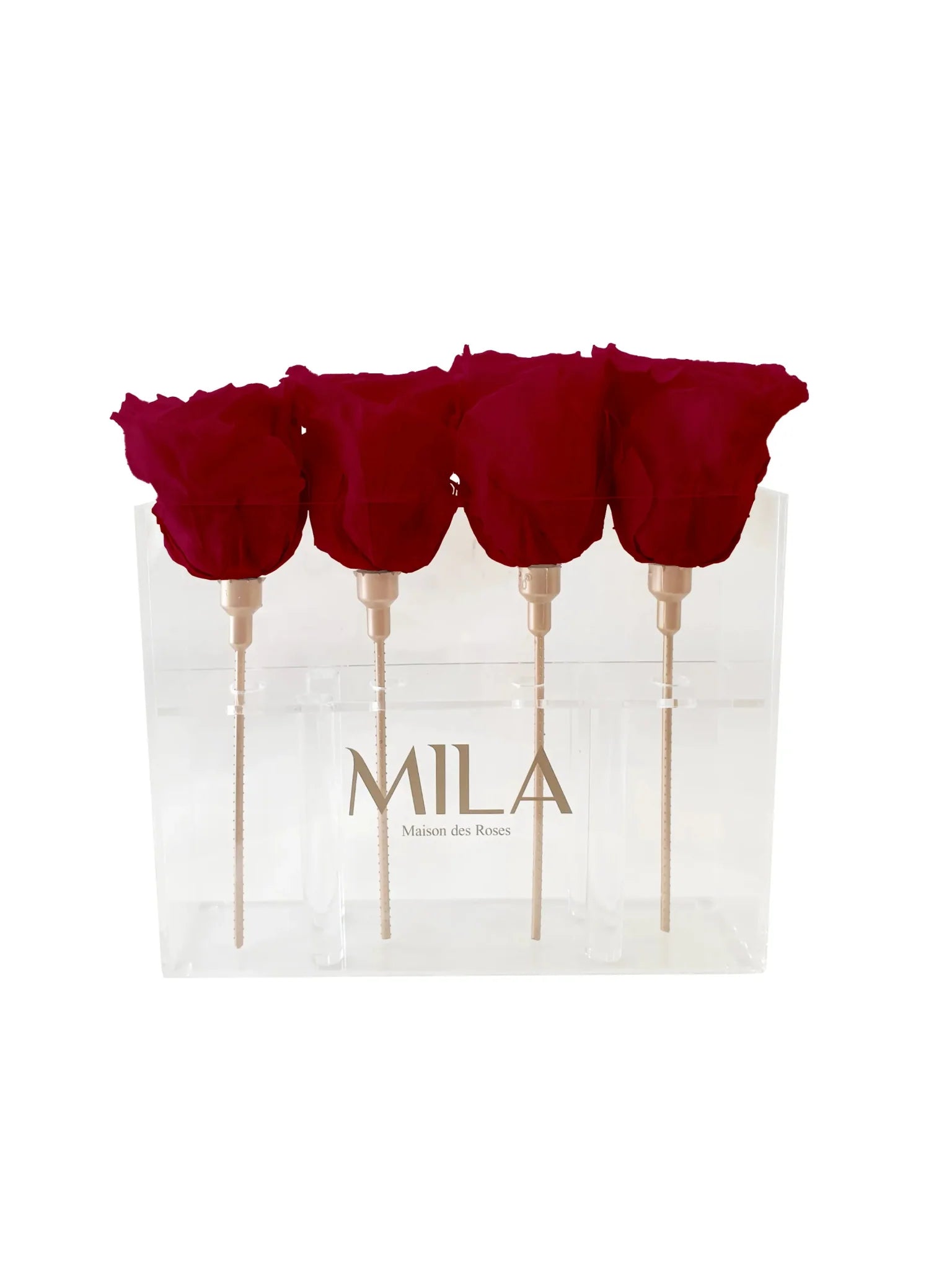 Mila Acrylic Mini Table - Mila Rose