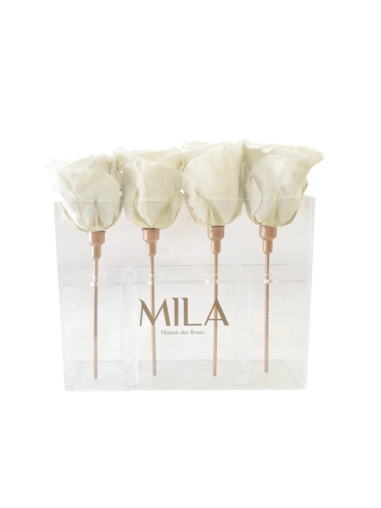 Mila Acrylic Mini Table - Mila Rose