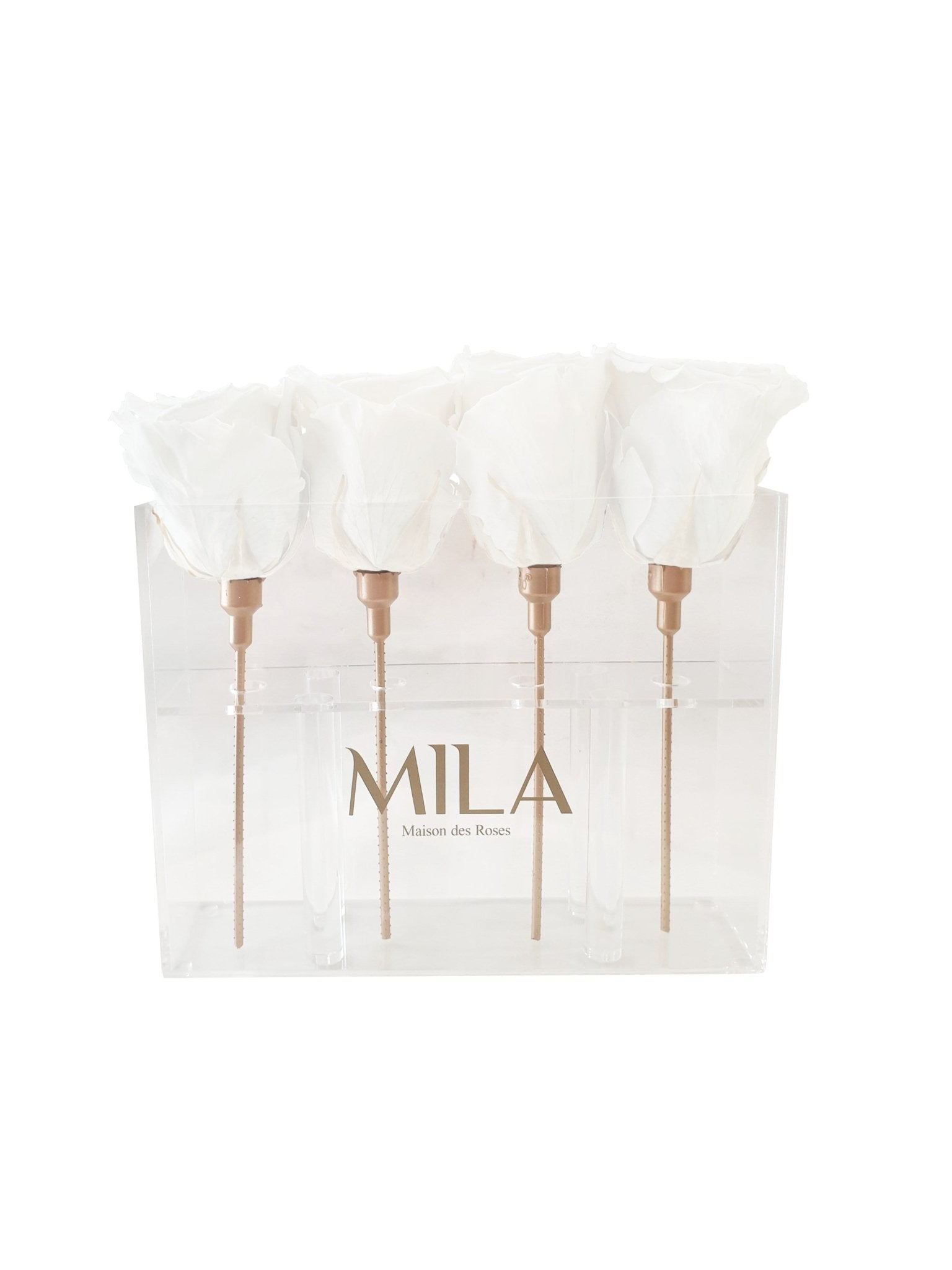 Mila Acrylic Mini Table - MILA Maison Des Roses