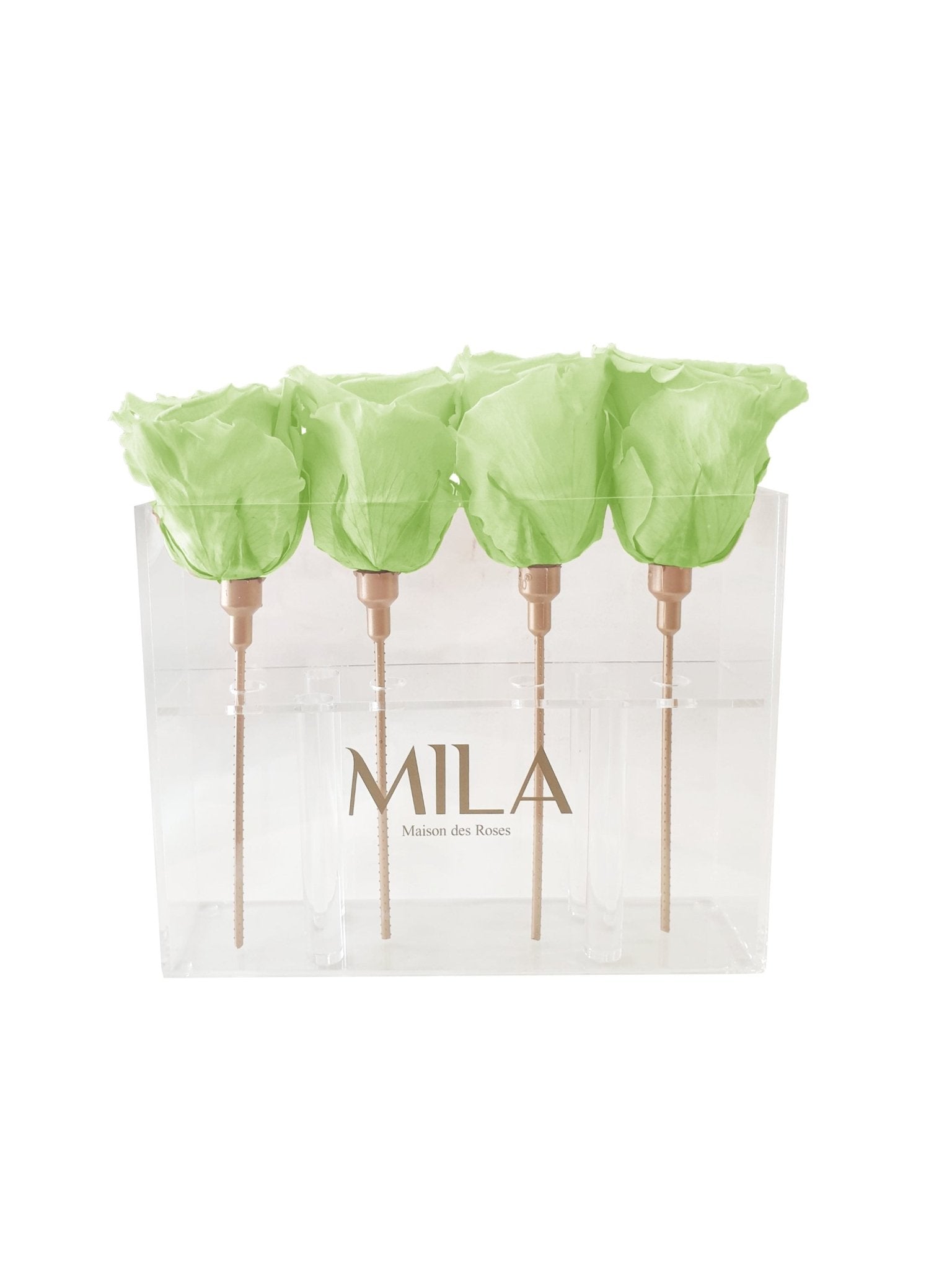 Mila Acrylic Mini Table - MILA Maison Des Roses
