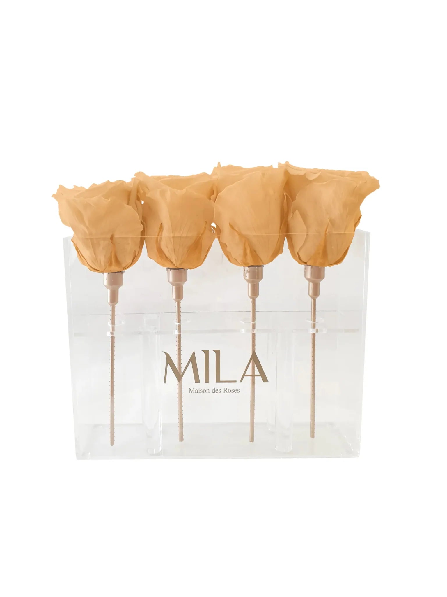 Mila Acrylic Mini Table - Mila Rose