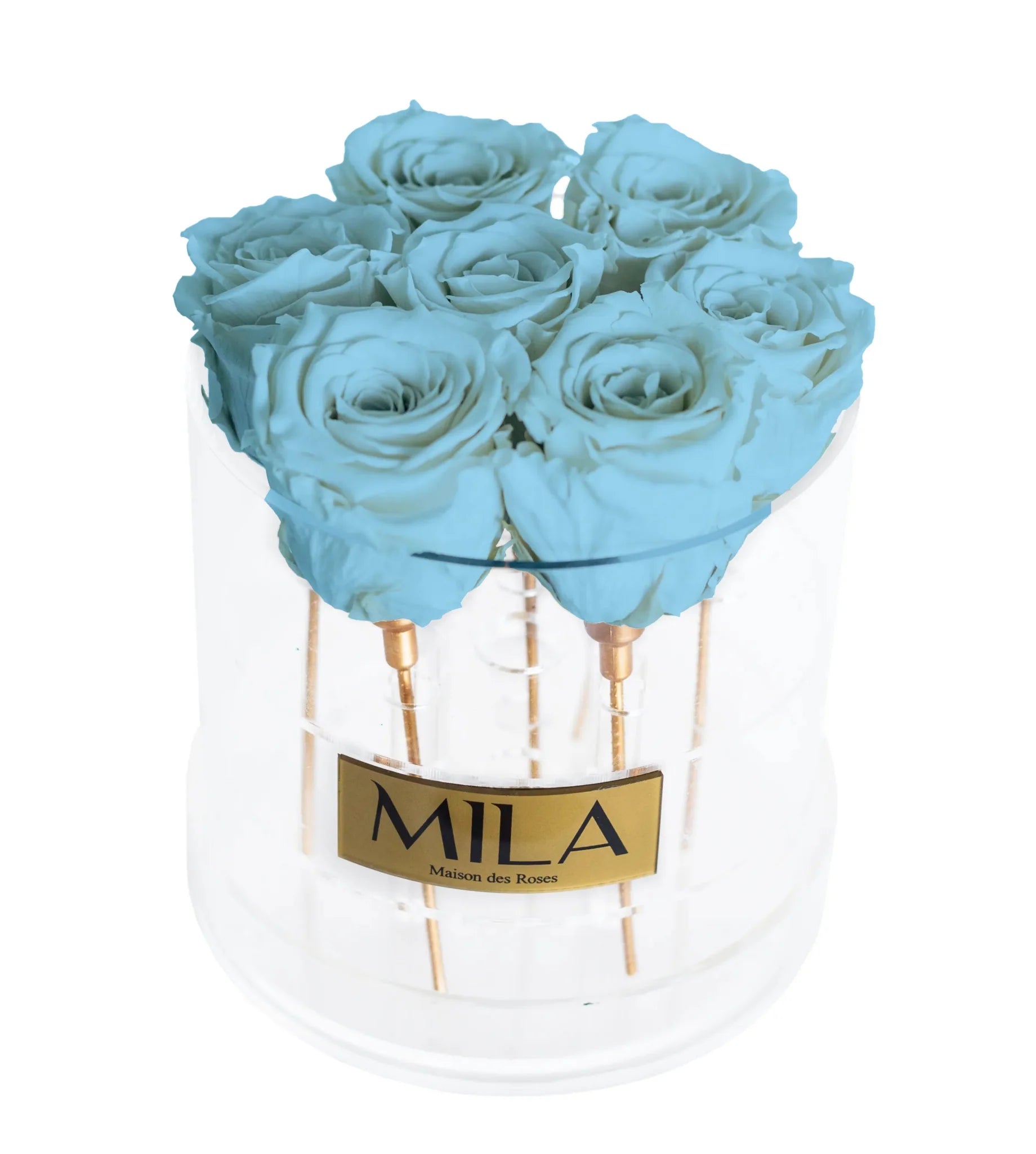 Mila Acrylic Round - Mila Rose