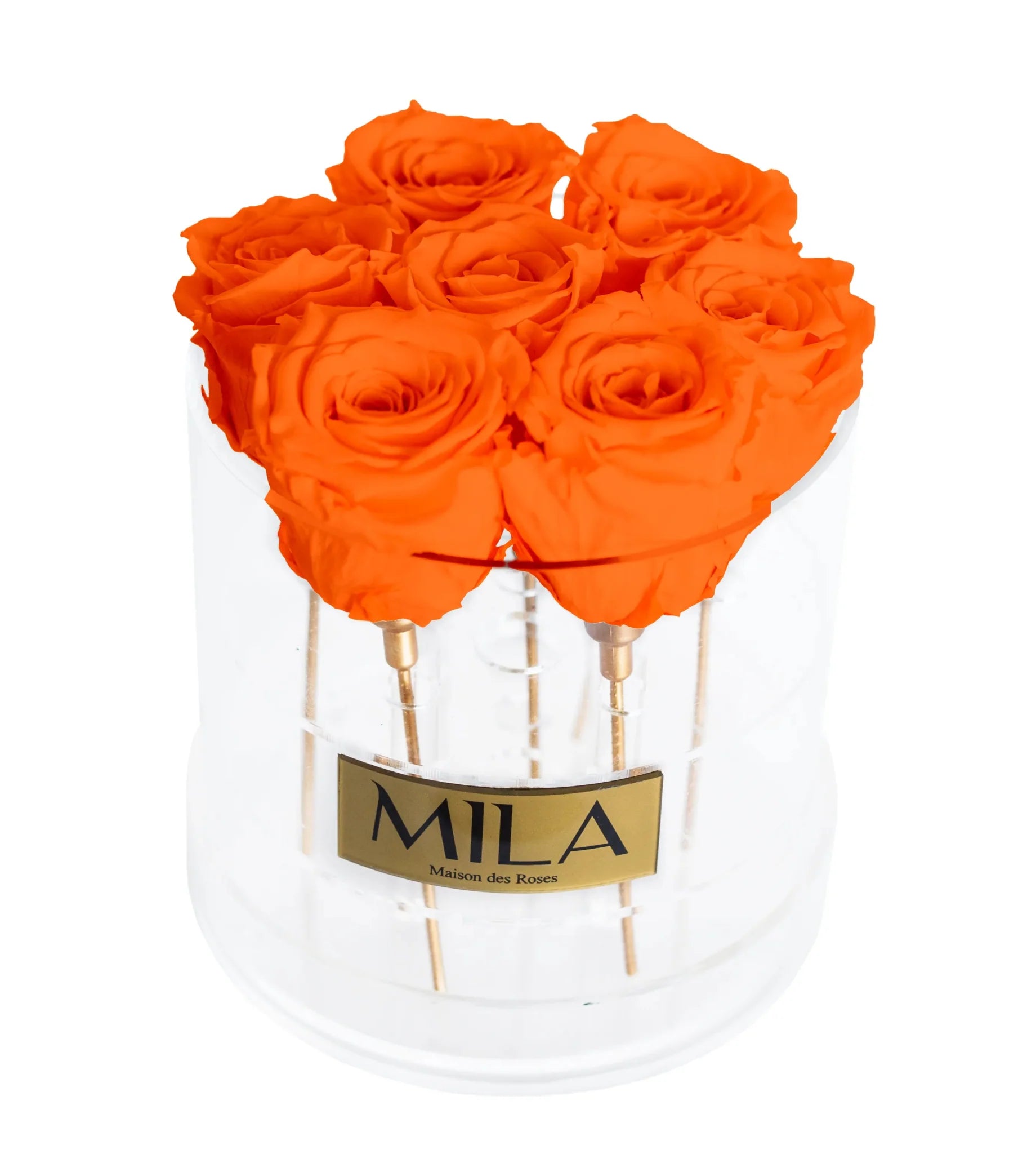 Mila Acrylic Round - Mila Rose