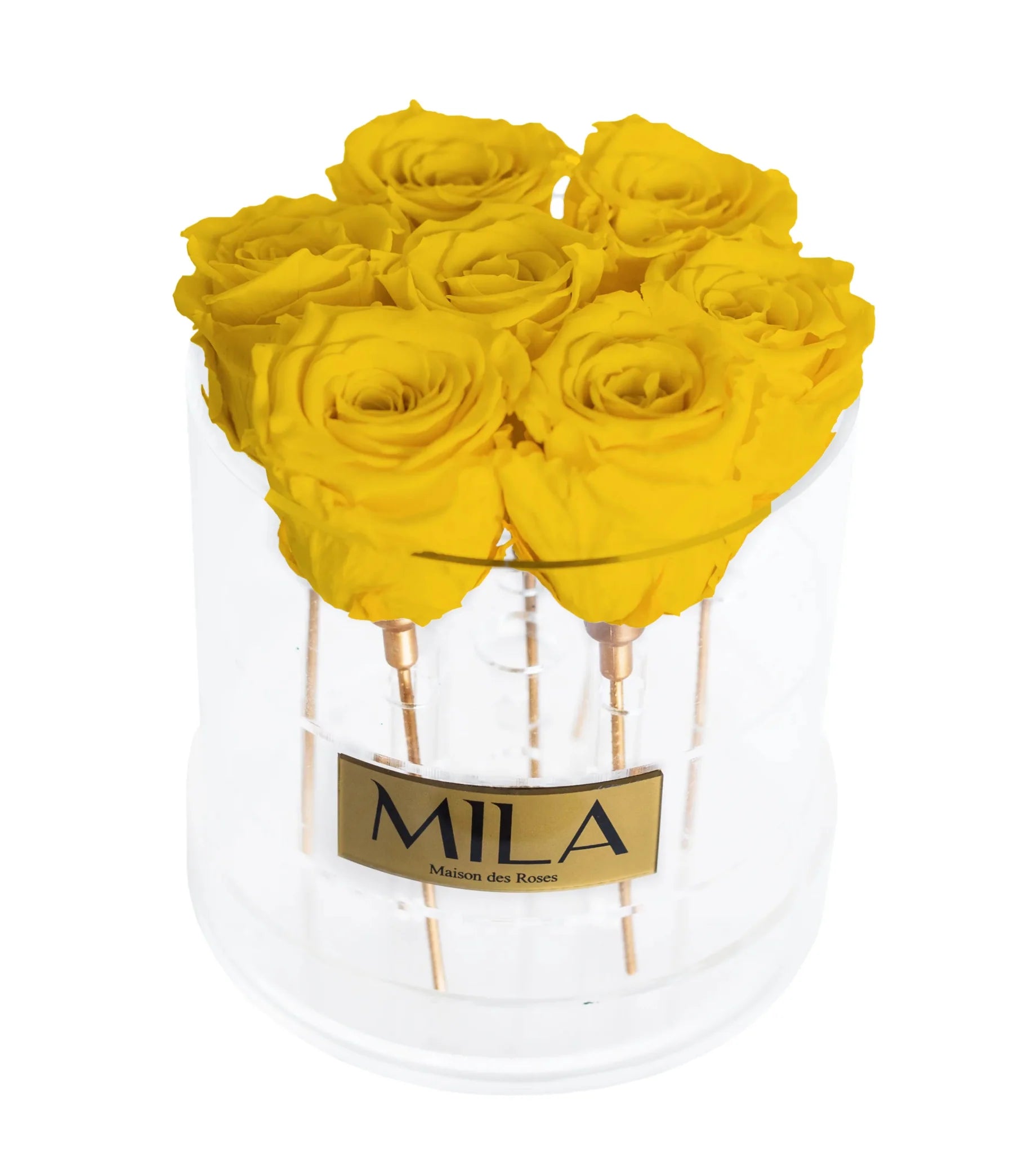 Mila Acrylic Round - Mila Rose